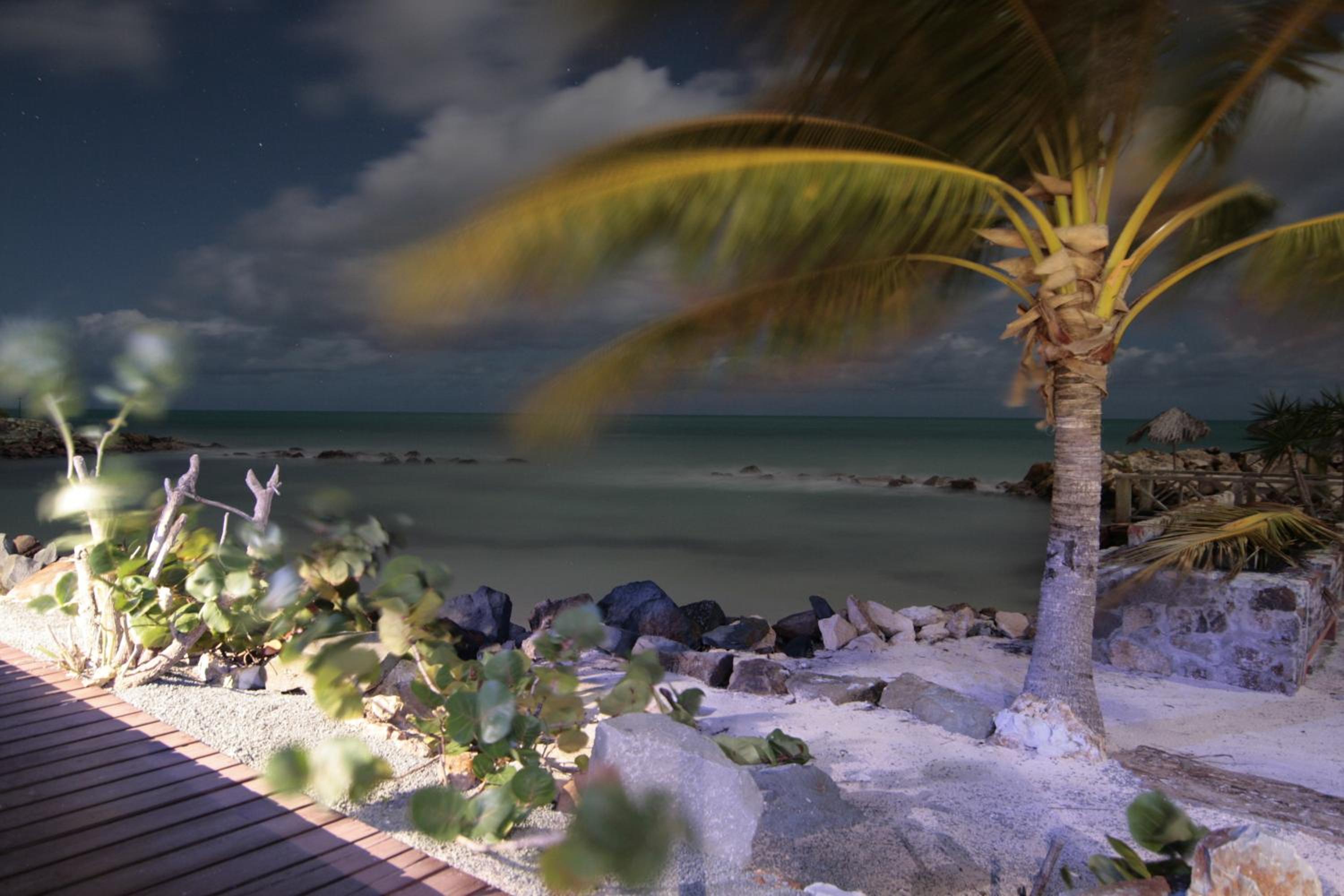 Ocean View Apartment with Terrace