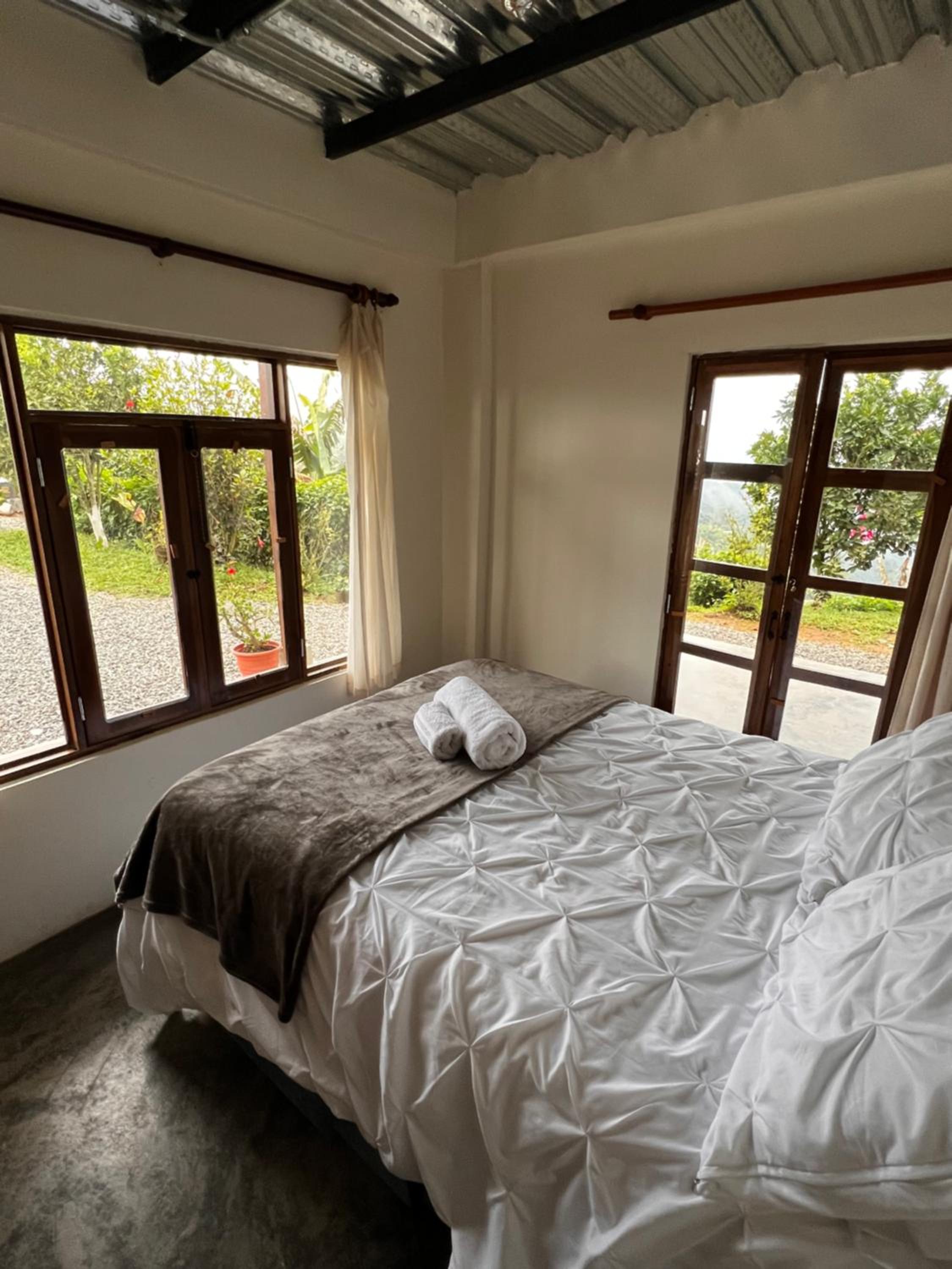 Double Room with Patio photo 3