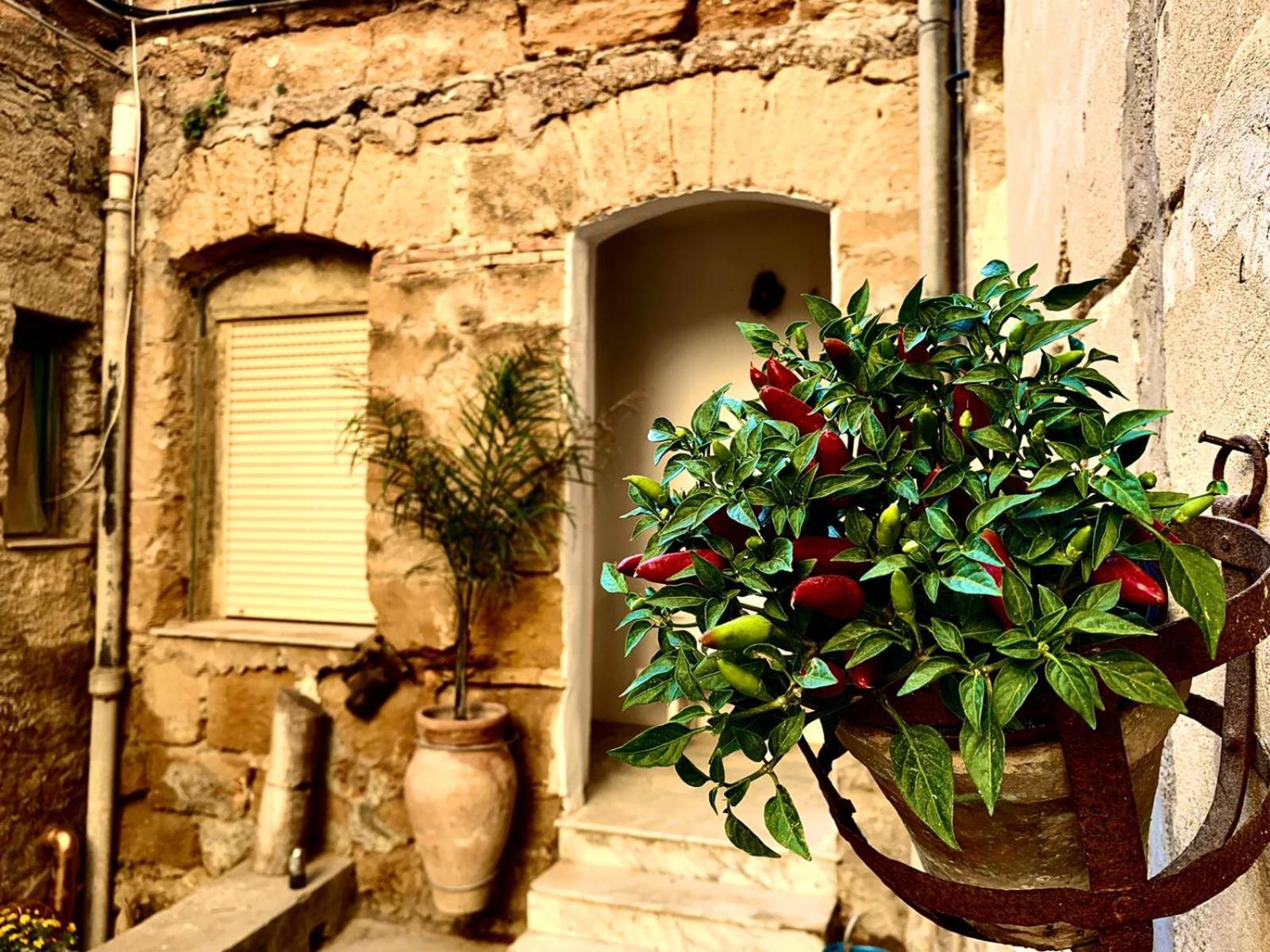 Two-Bedroom Apartment with Balcony and Terrace photo 2