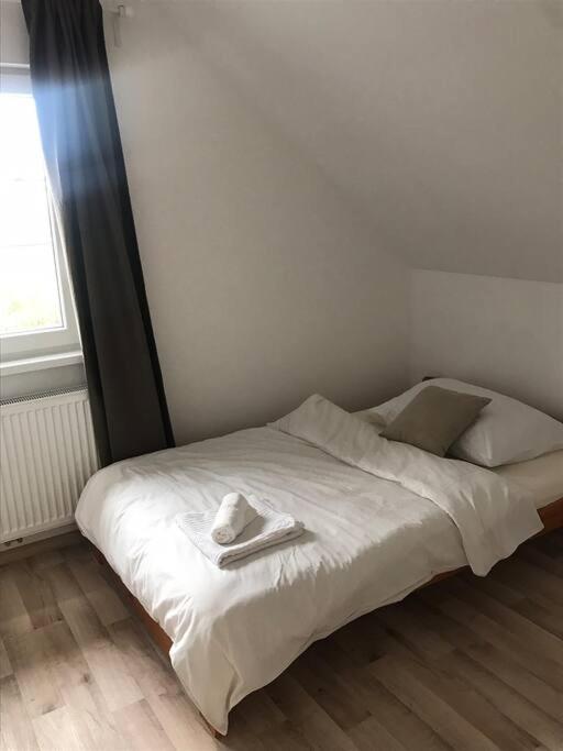 One-Bedroom Apartment - Photo 5