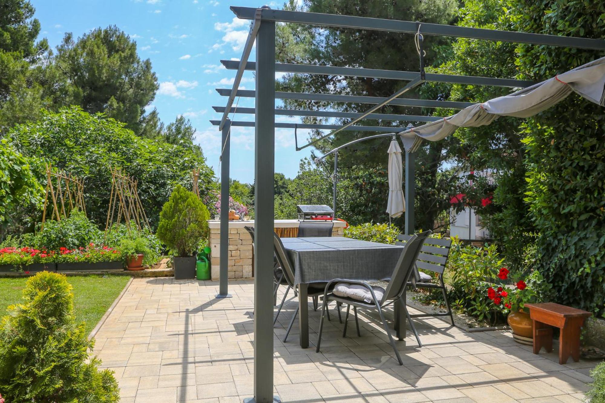 Apartment with Terrace photo 2