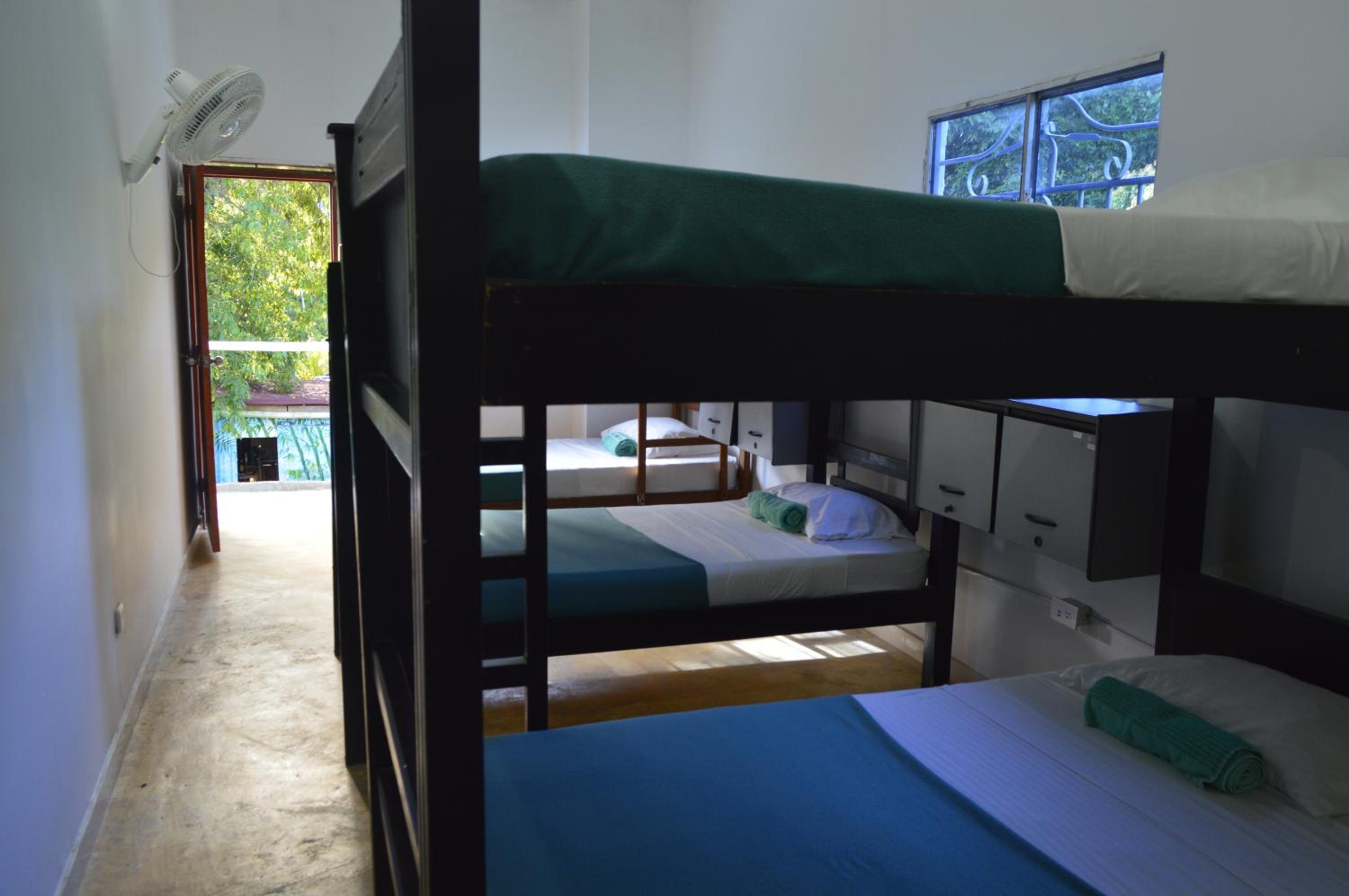 Bed in 6-Bed Mixed Dormitory Room photo 1