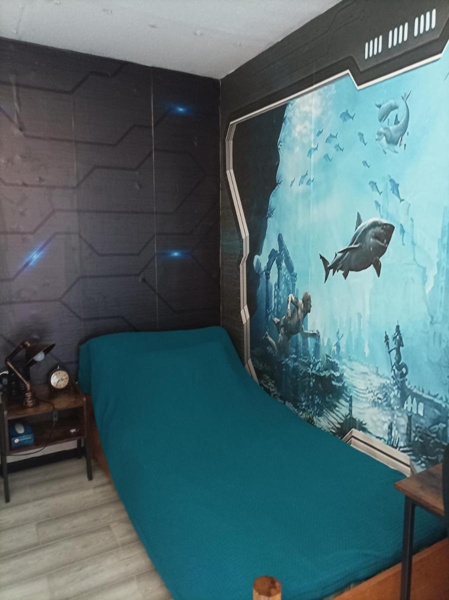 Budget Single Room photo 1