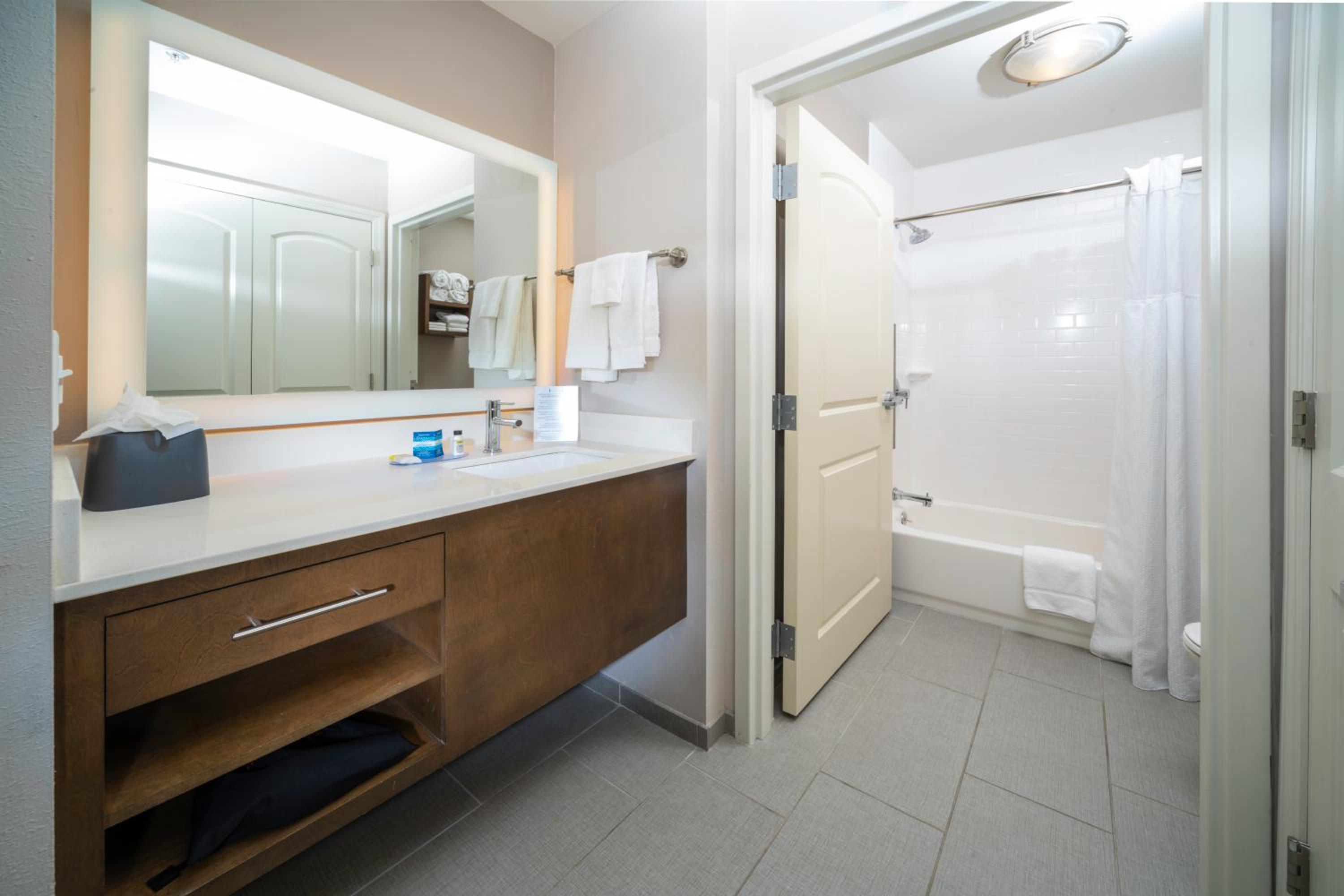 Two-Bedroom Suite - Mobility Accessible Roll In Shower - Photo 10
