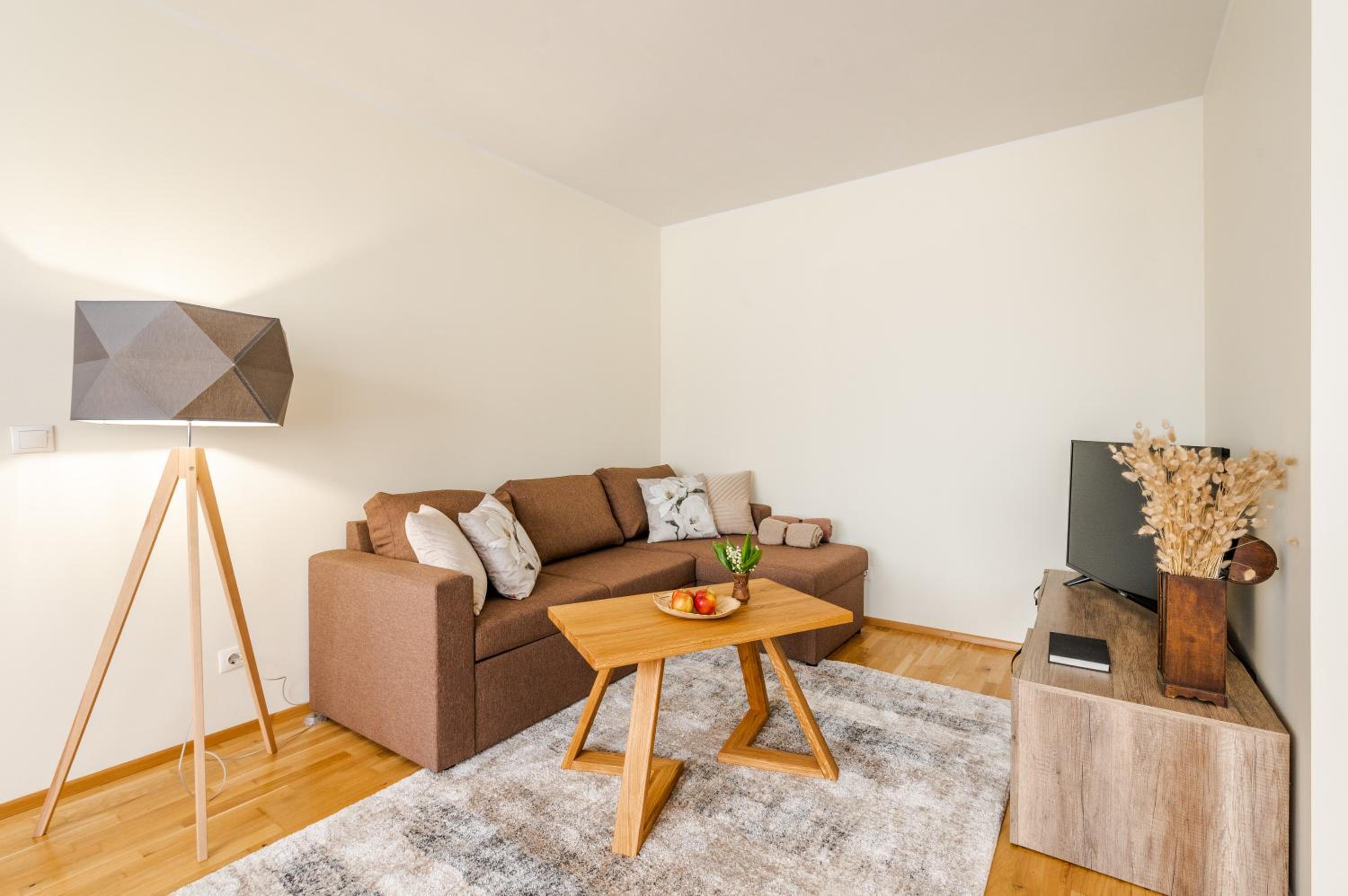 One-Bedroom Apartment photo 3