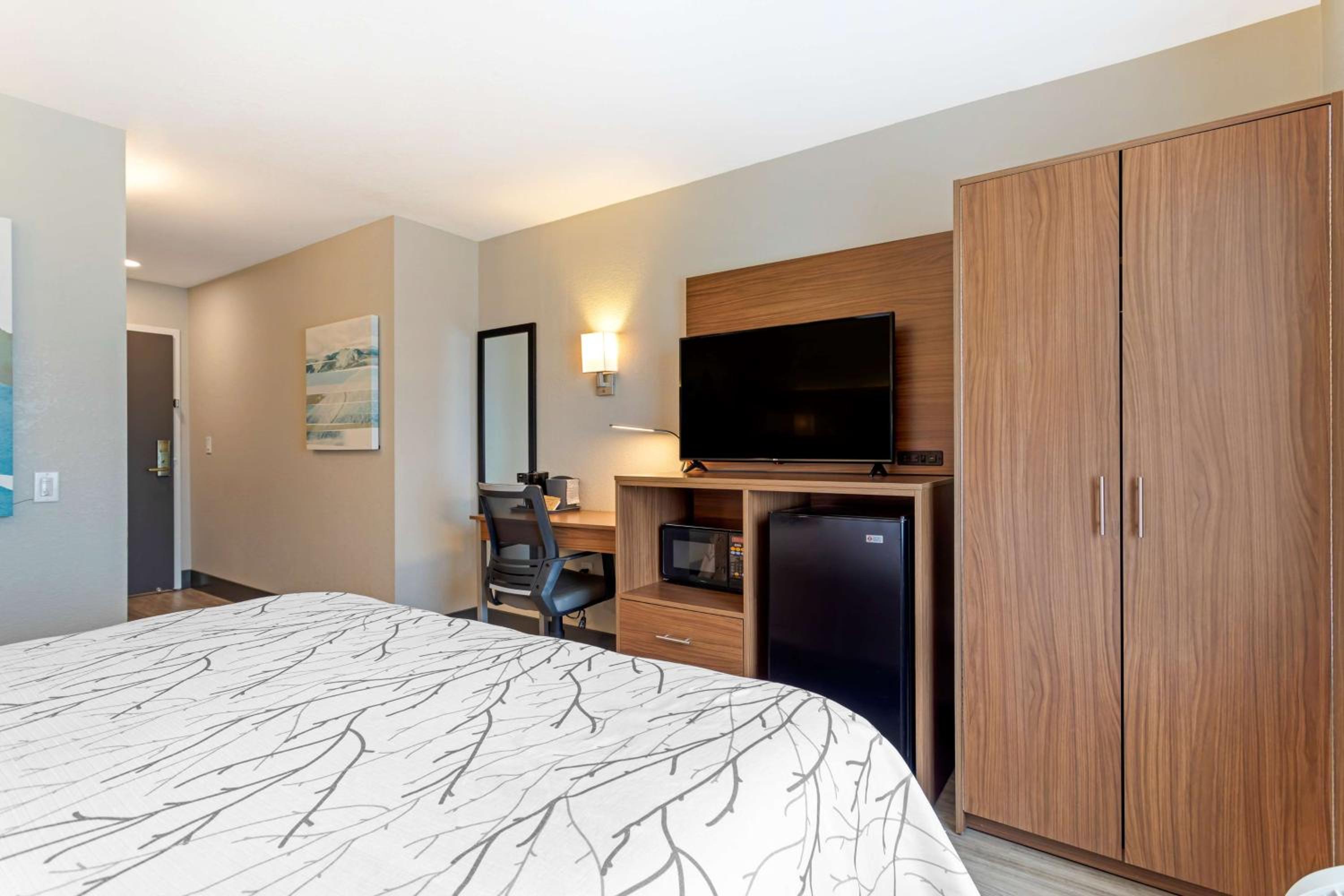 King Room With Roll-In Shower - Disability Access - Photo 9