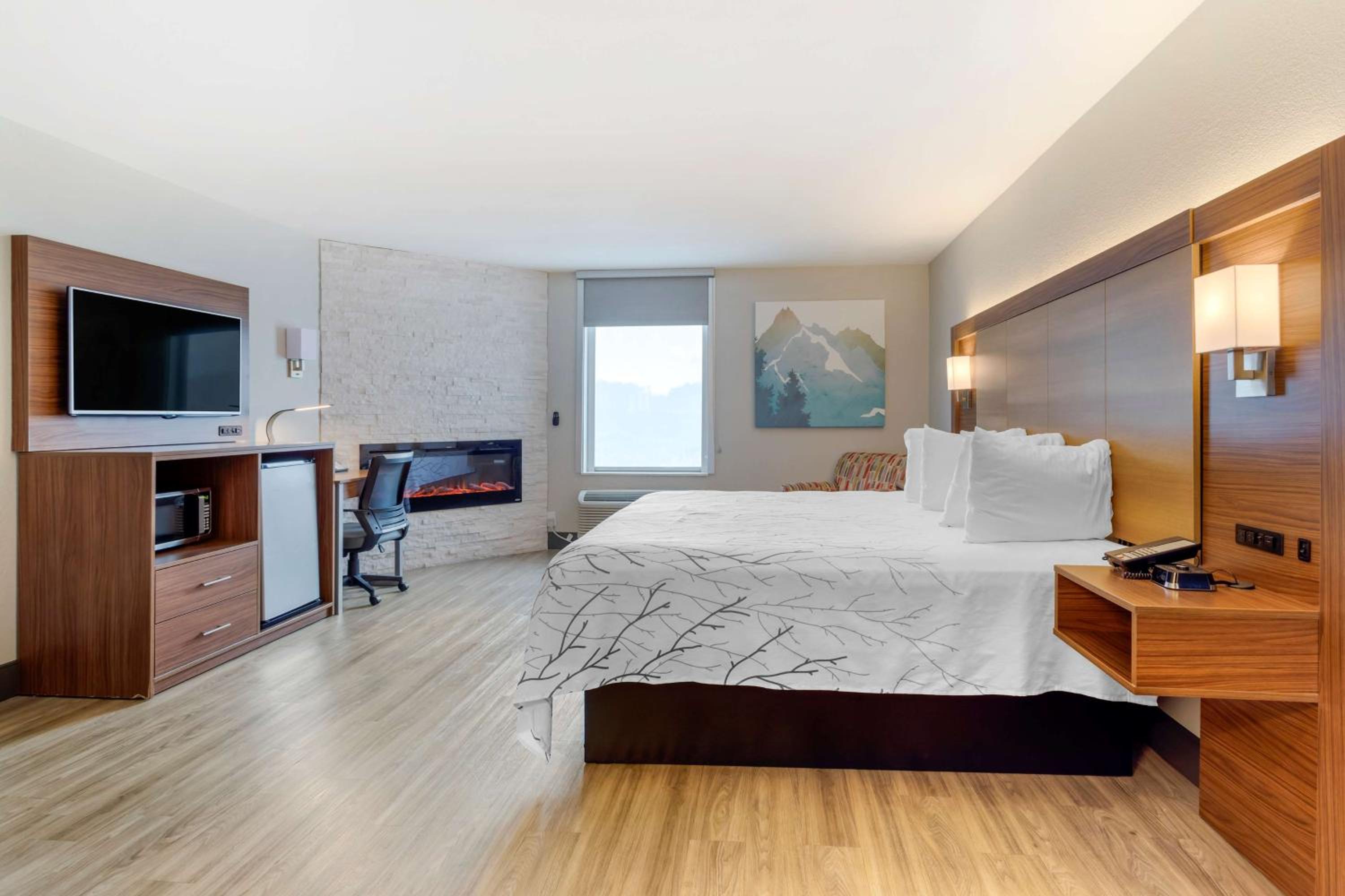 King Suite photo 1