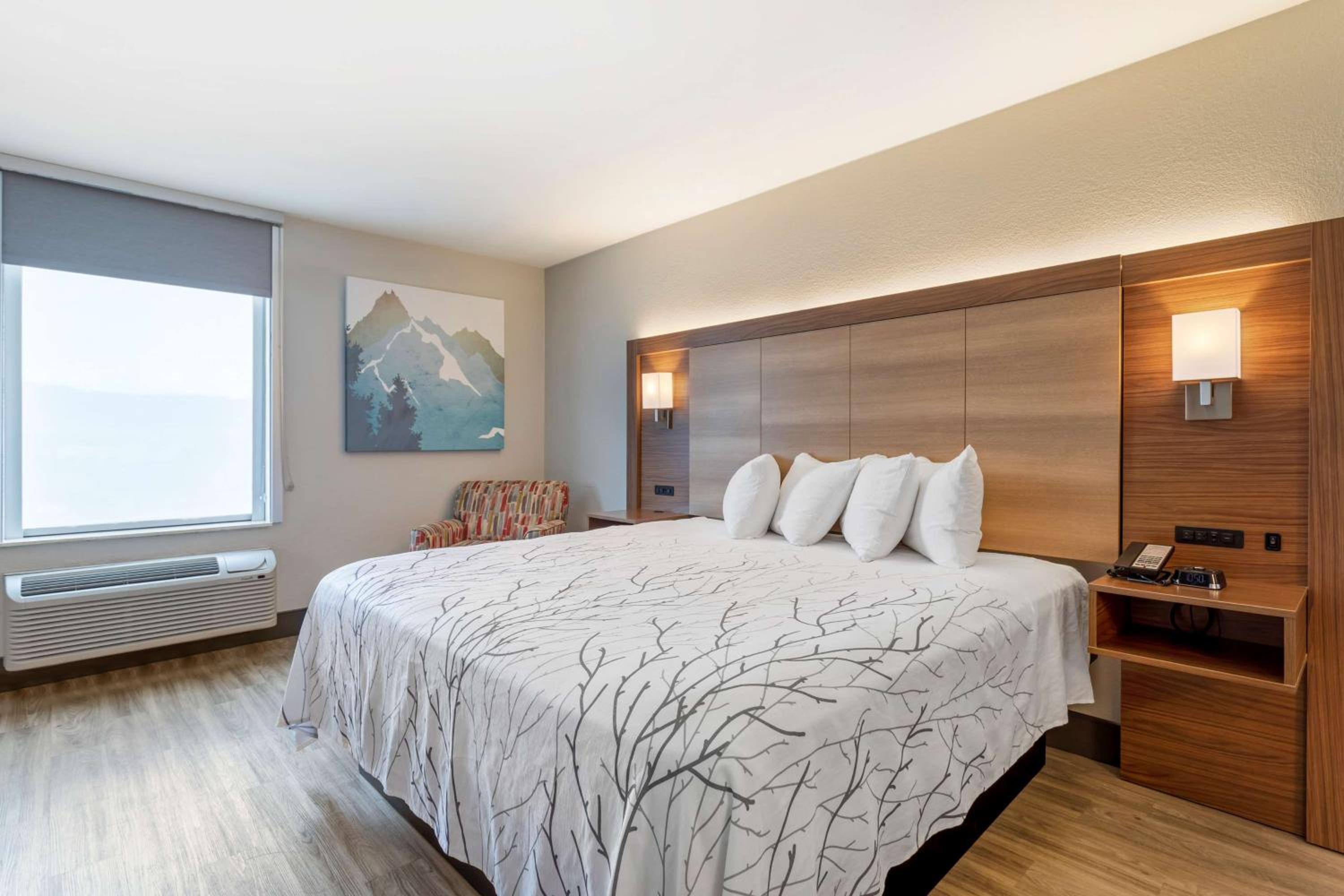 King Suite photo 3