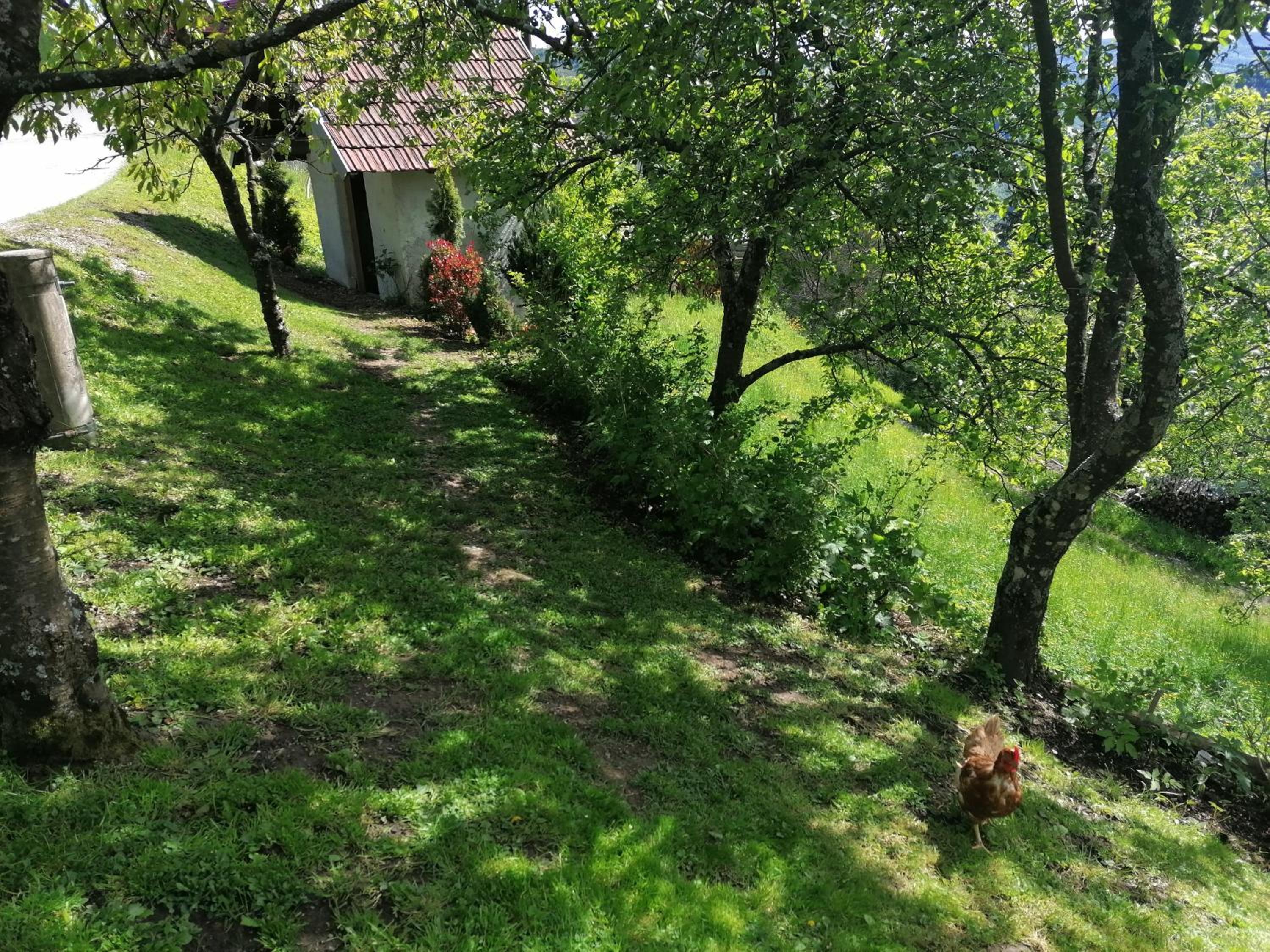 Apartment - Ground Floor - Photo 4