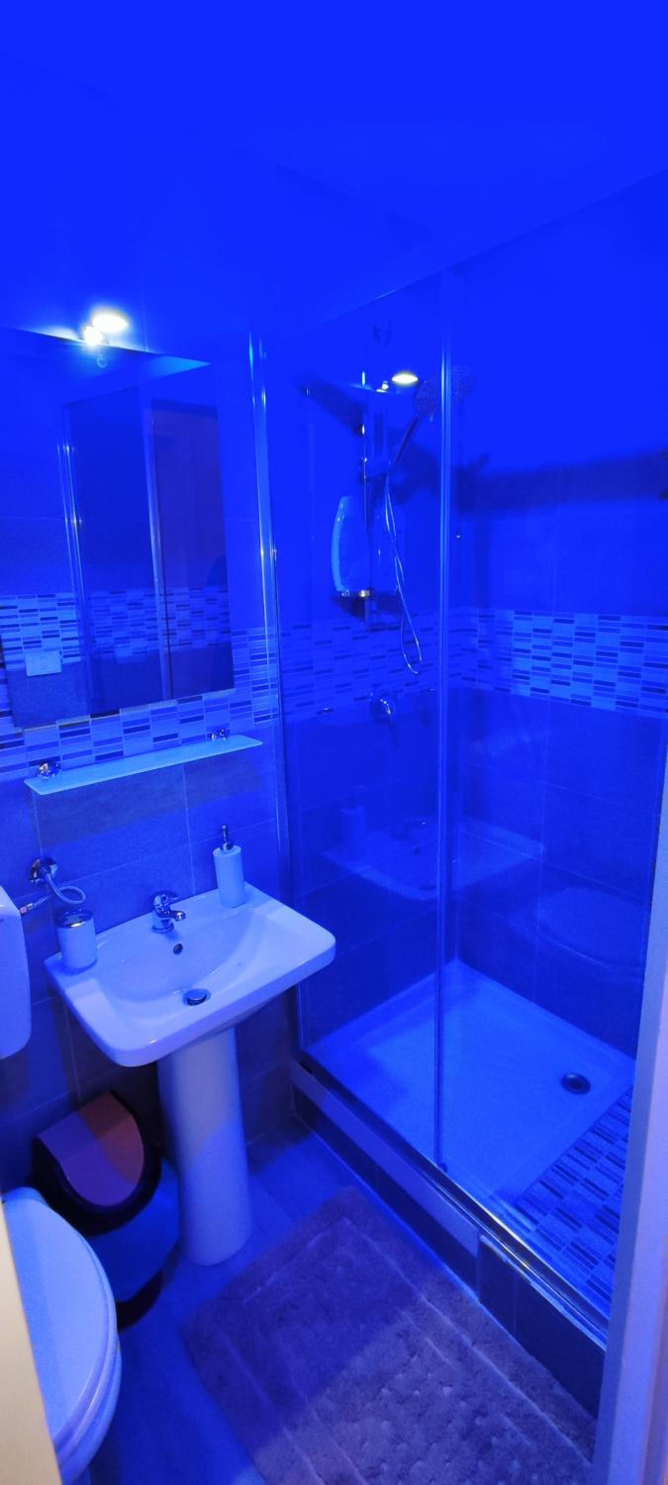 Deluxe Suite with Spa Bath - Photo 22