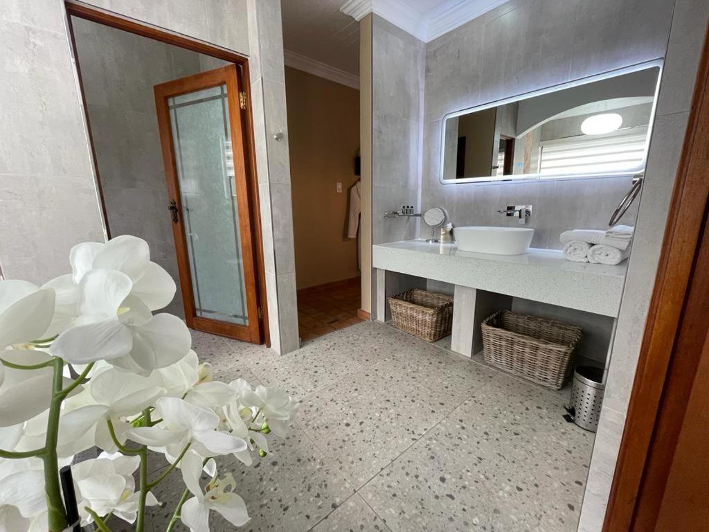 Suite - Photo 3