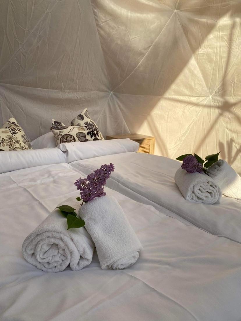 Glamping With No Shower photo 1