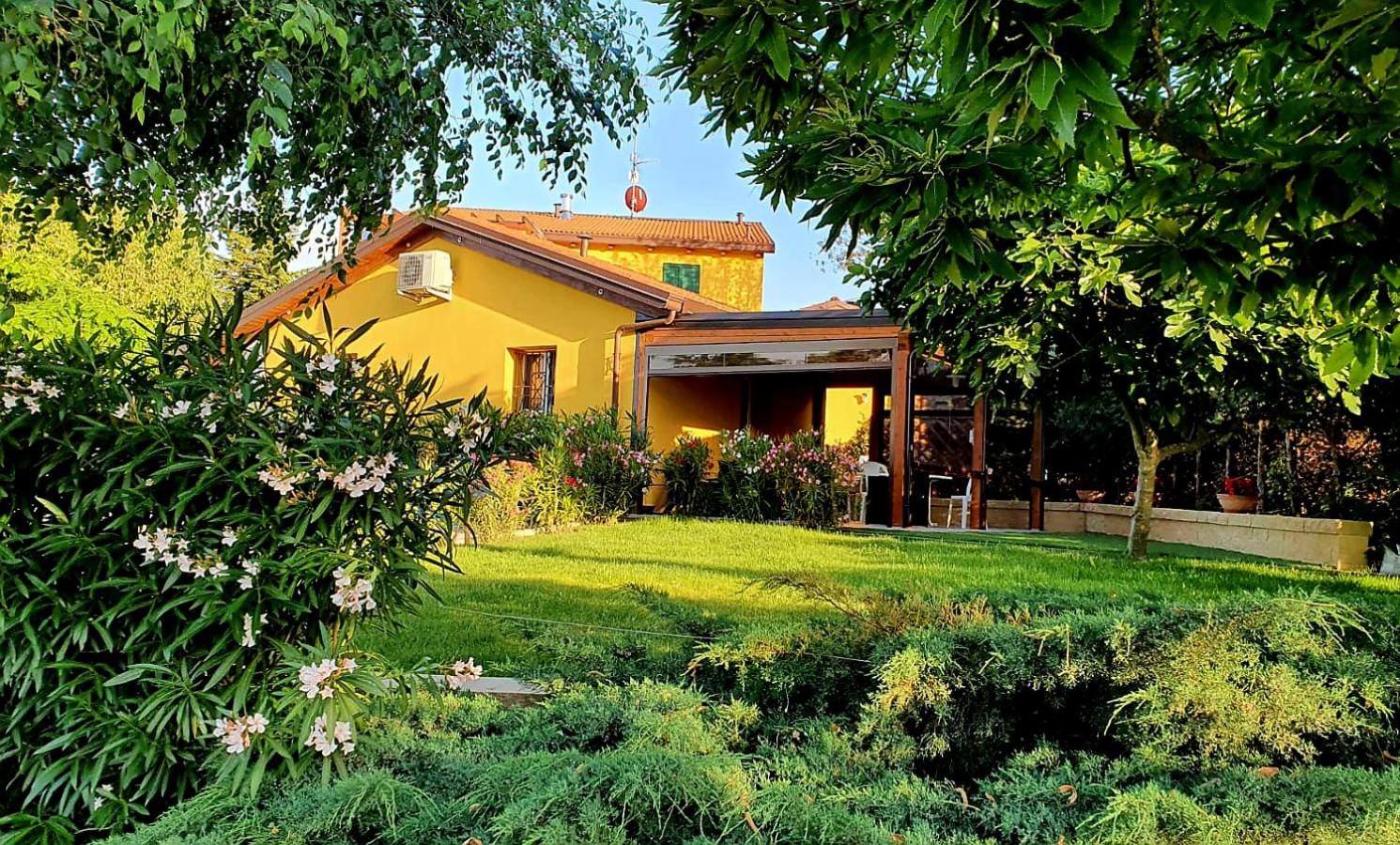Studio with Garden View