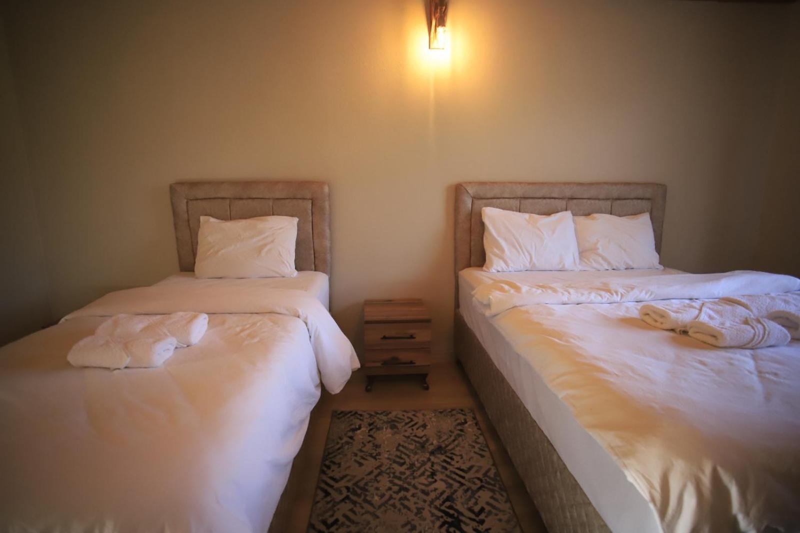 Triple Room with Mountain View photo 3