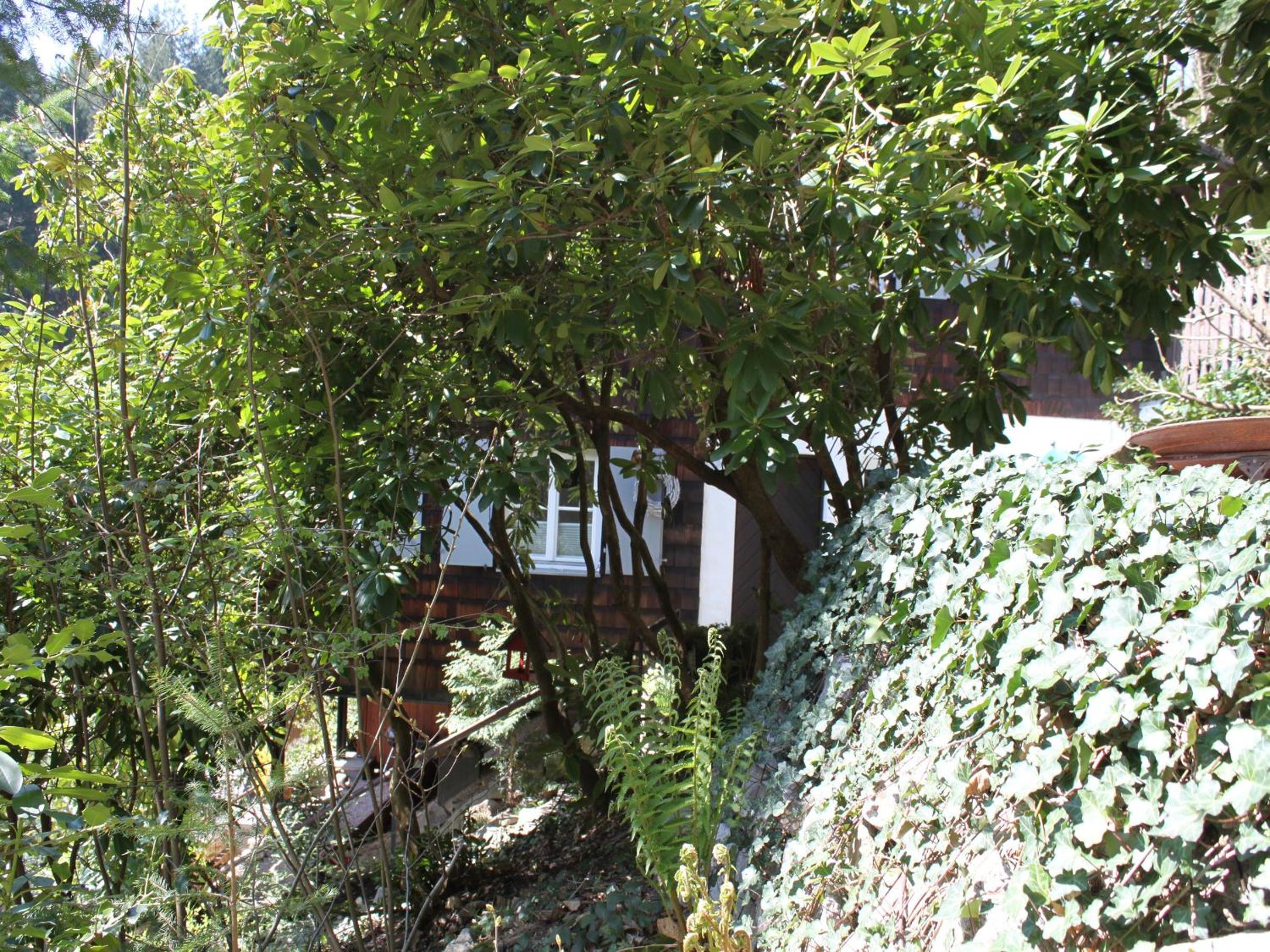 Two-Bedroom House photo 2