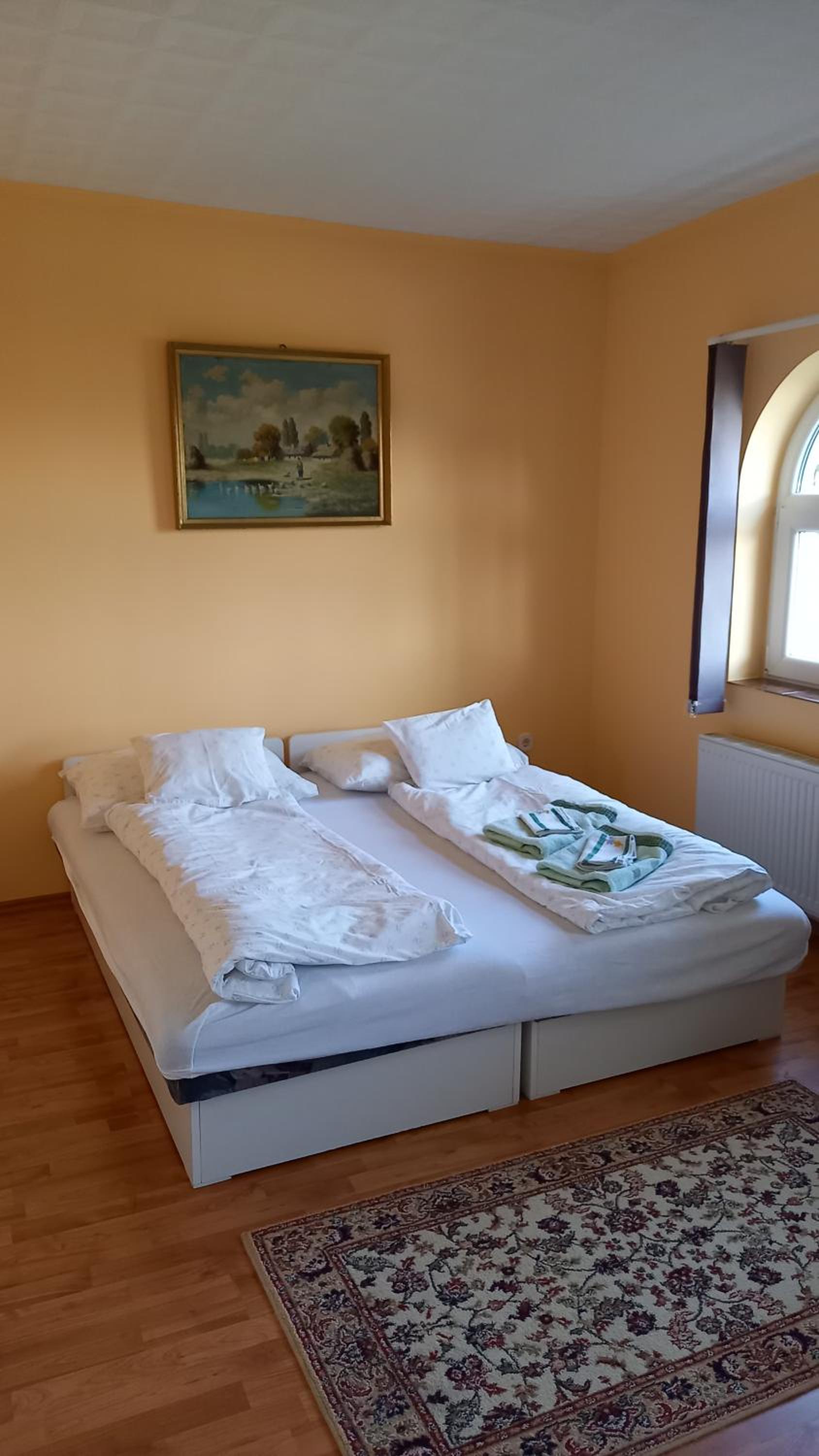 Apartment with Terrace photo 1