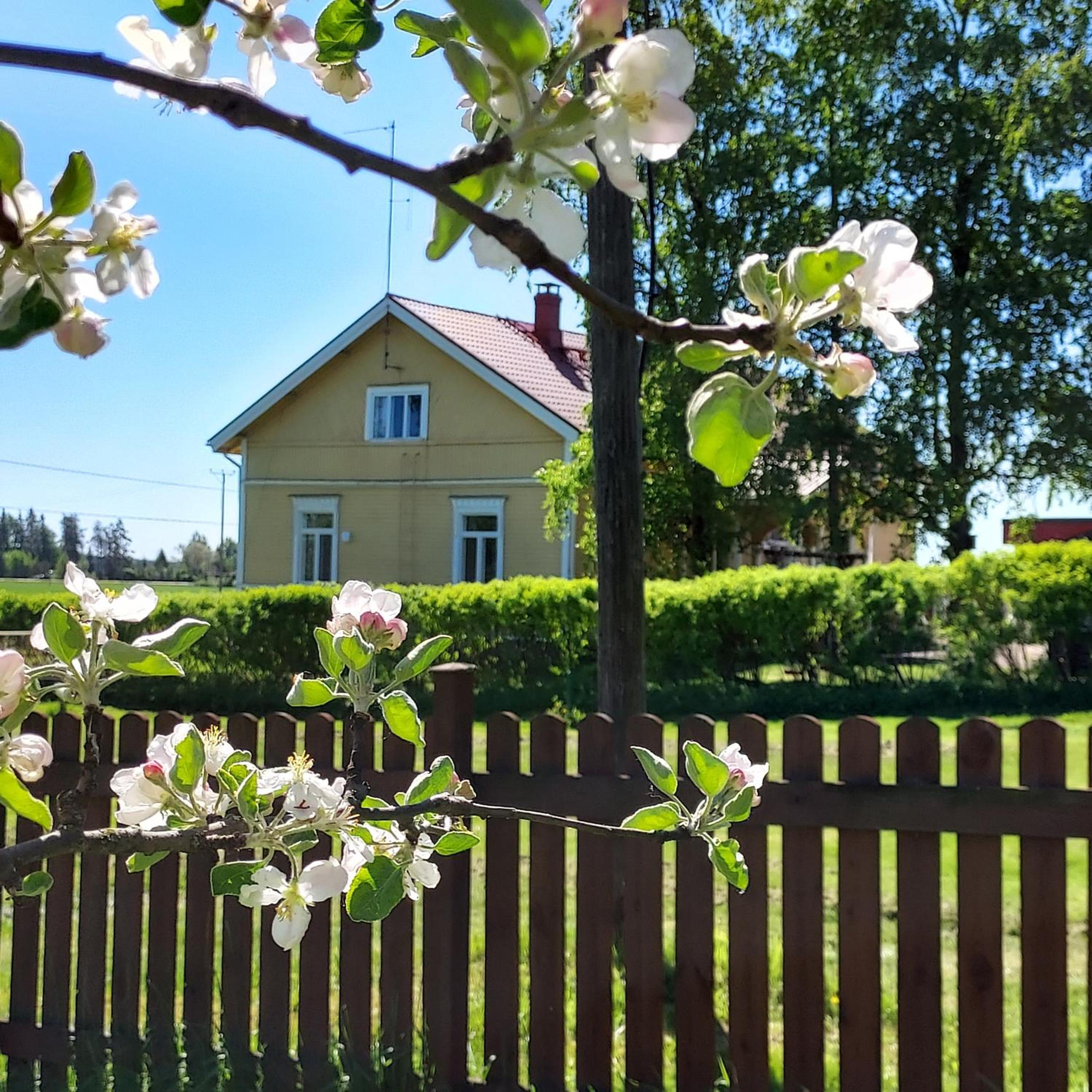 Villa Henna Hirsimökki Omalla Saunalla - Photo 6