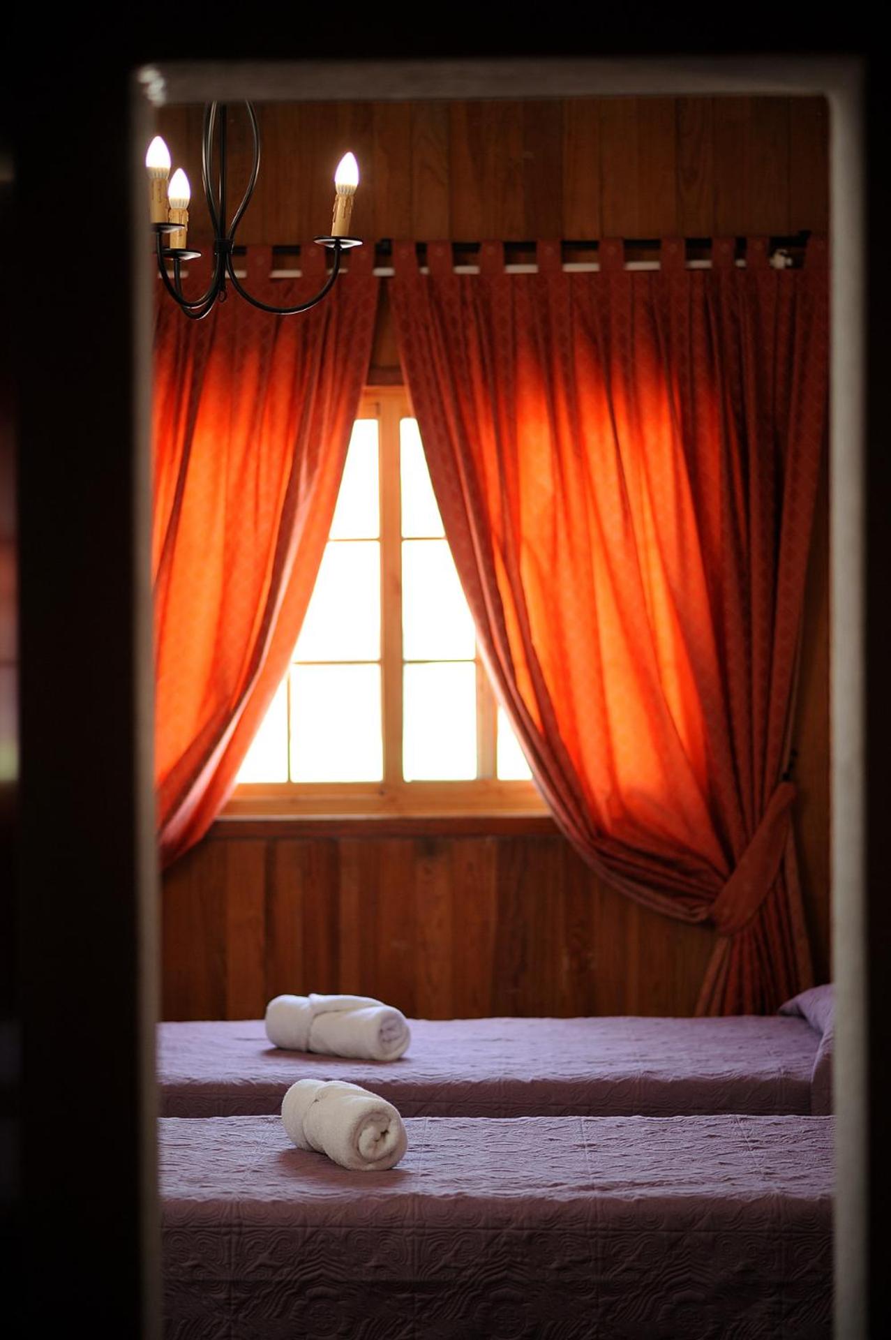 Twin Room photo 2