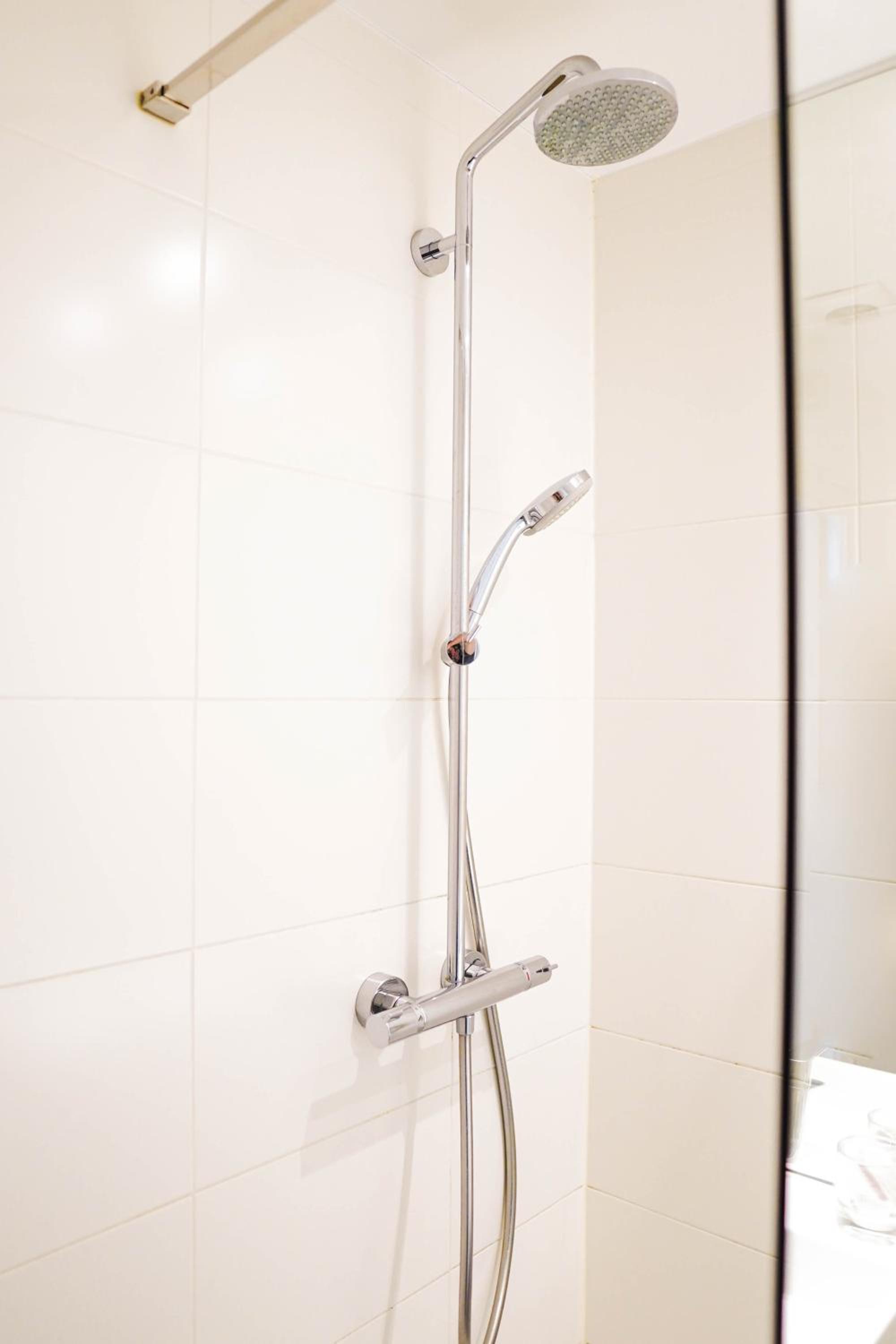 reflection of the shower head and hand held showerhead