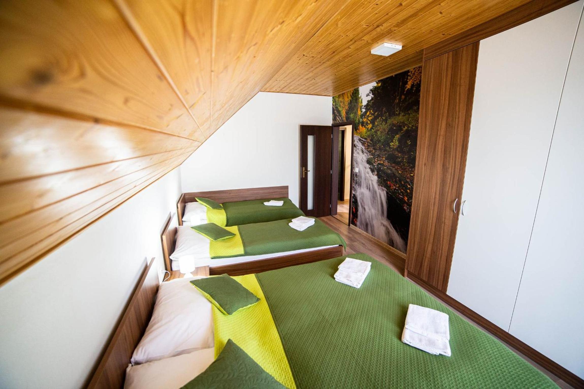 Three-Bedroom Chalet - Photo 10