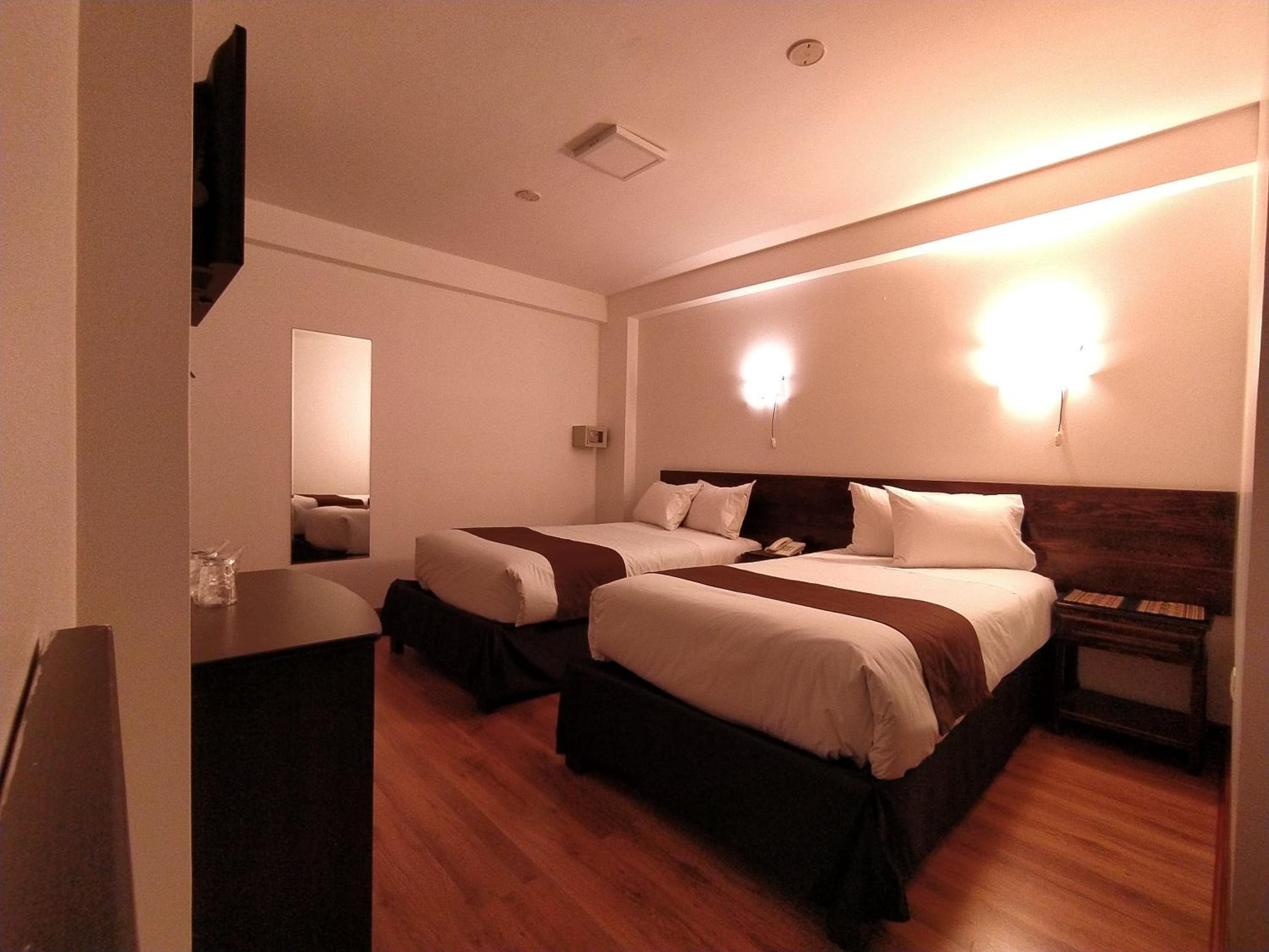 Twin Room photo 2