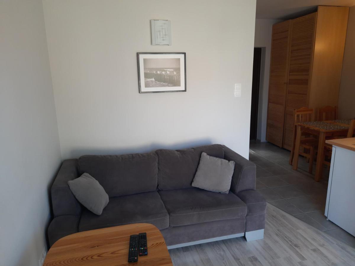 One-Bedroom Apartment photo 3
