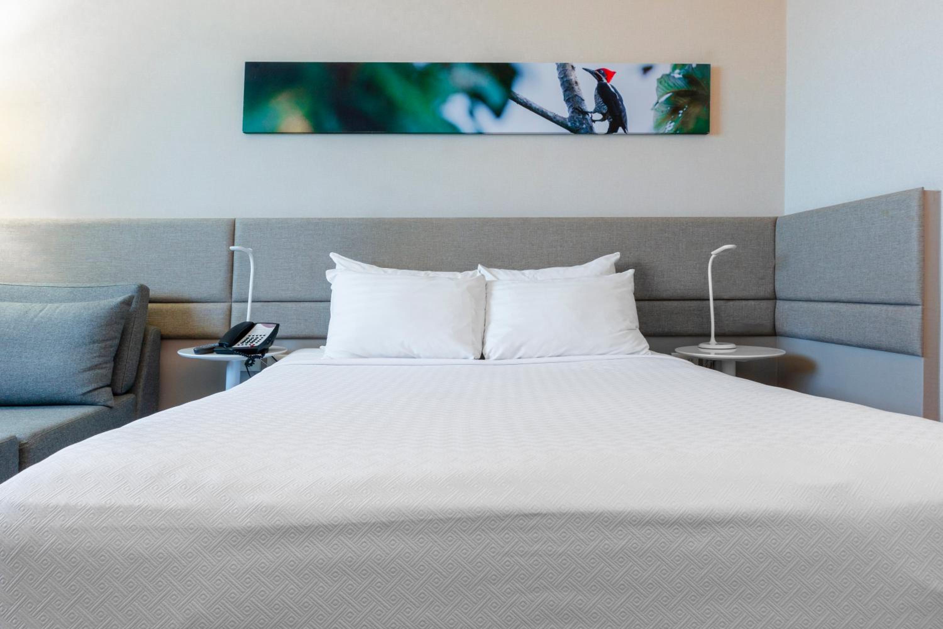 Standard Room - Photo 6