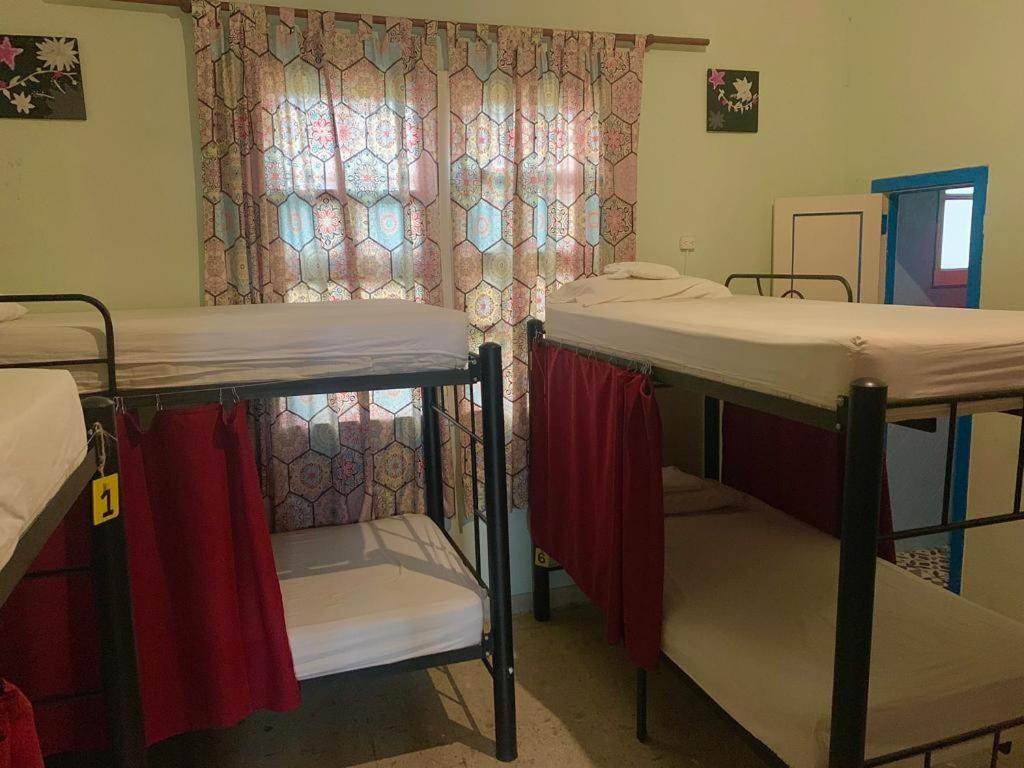 Single Bed in Female Dormitory Room