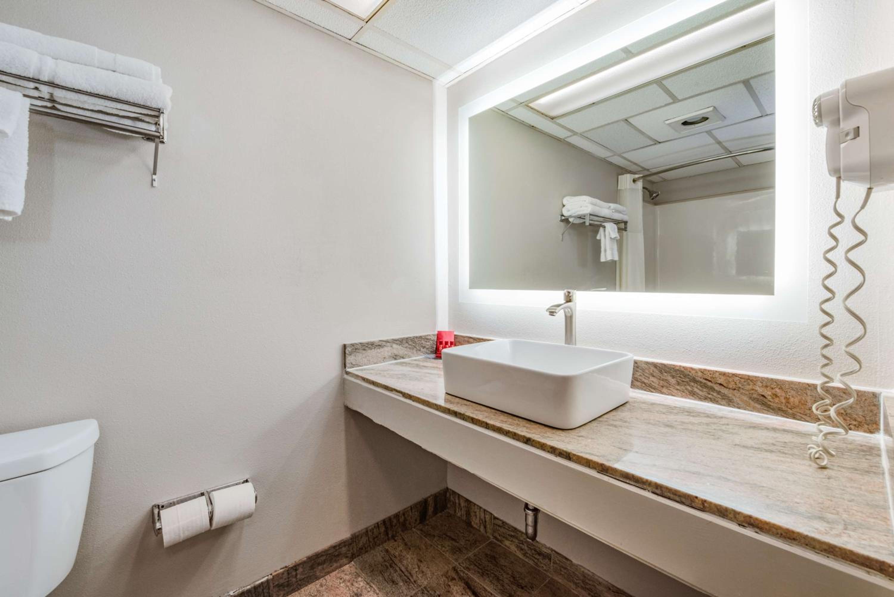 King Room - Pet-Friendly - Photo 4