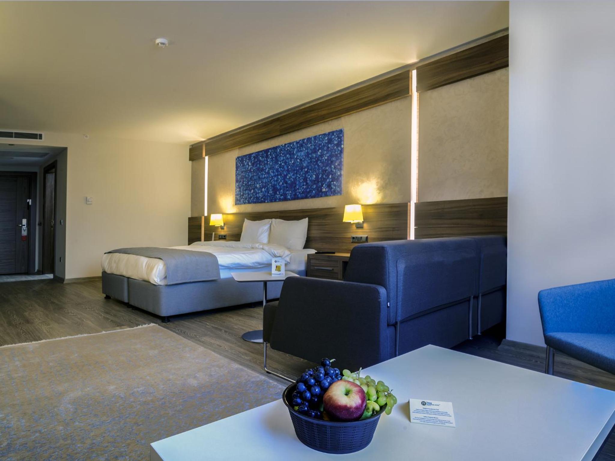 Suite - Photo 8