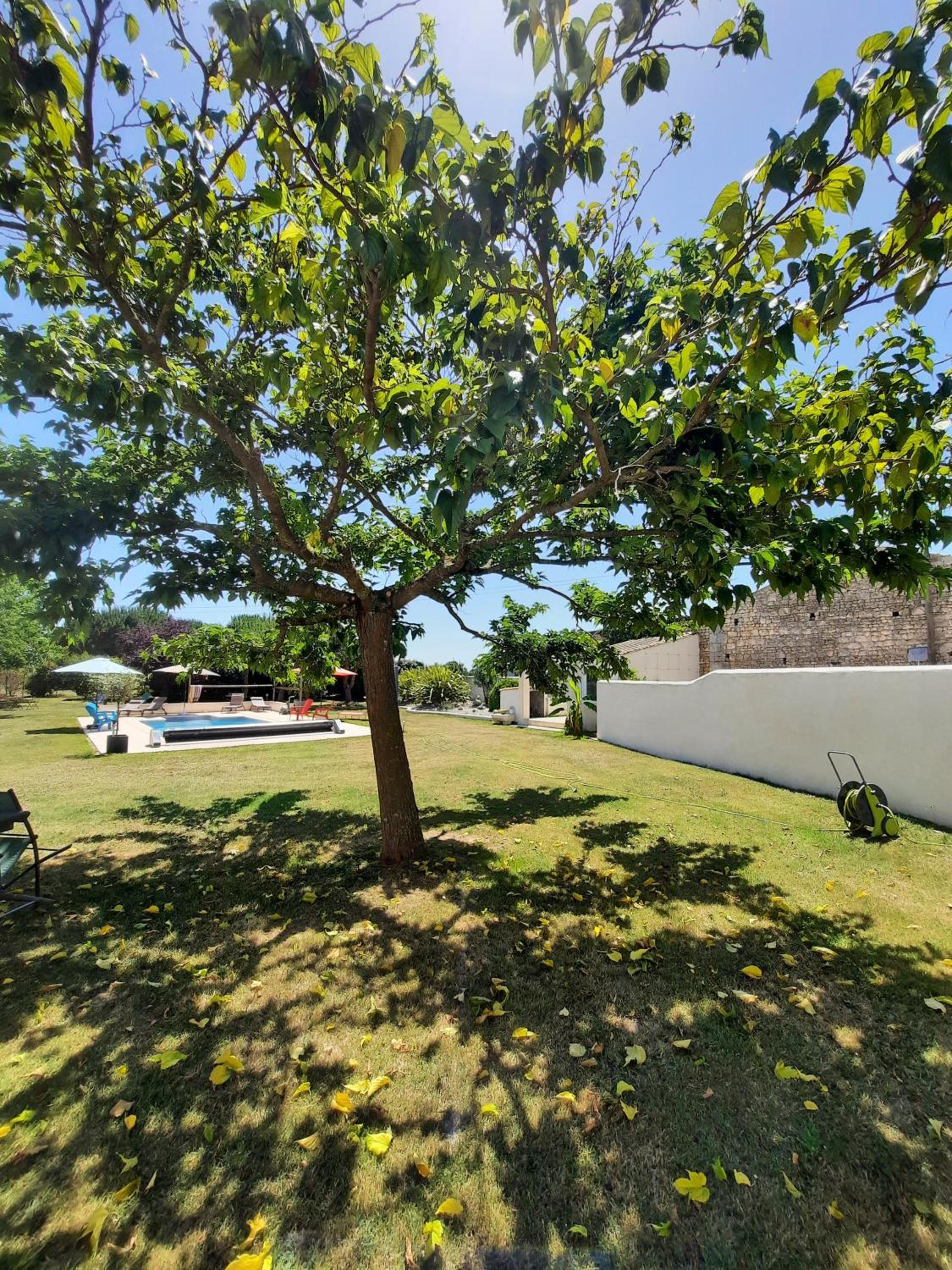Double Room with Pool View - Photo 15
