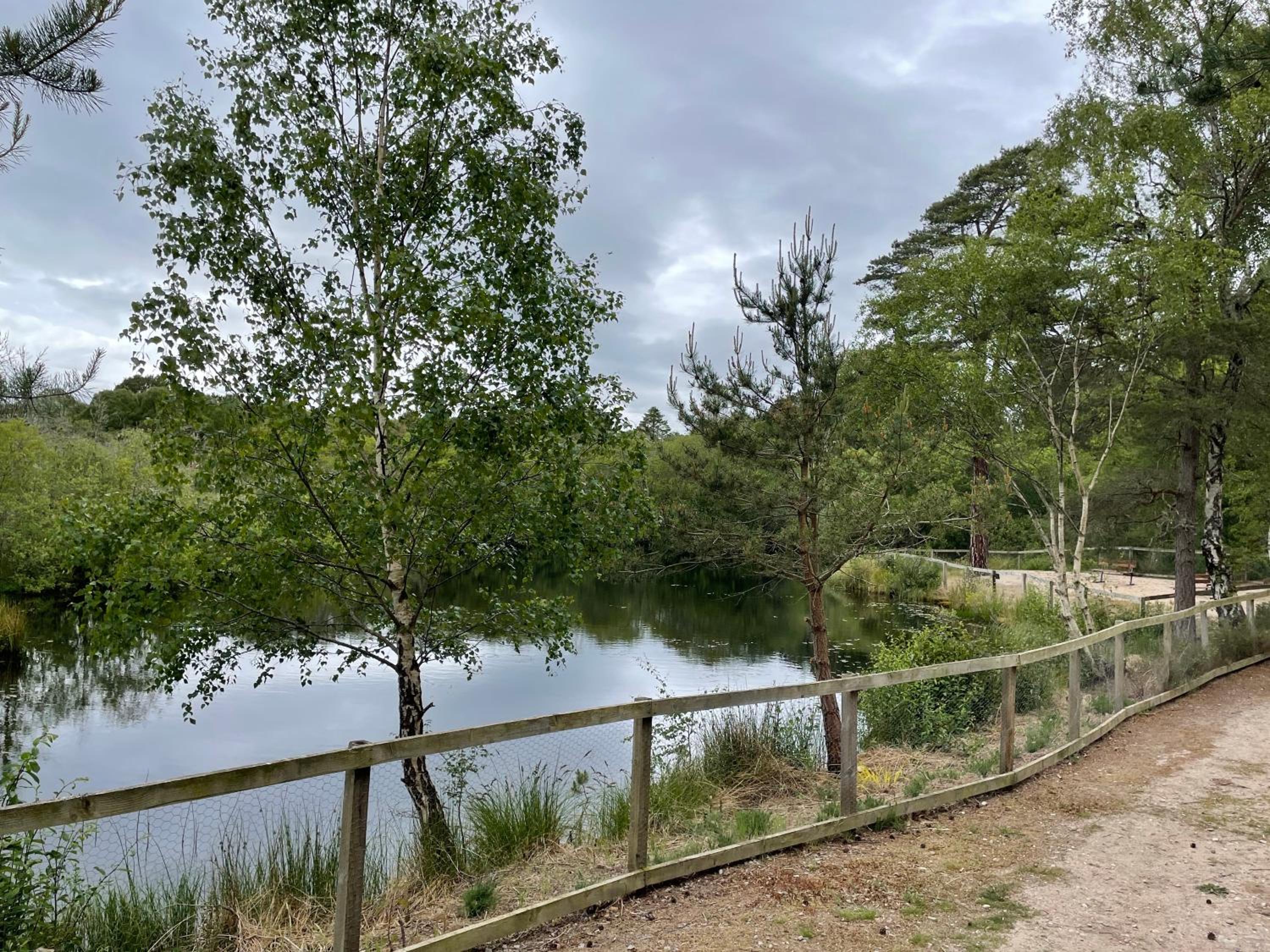 Tullochwood Lodges, Billede 15