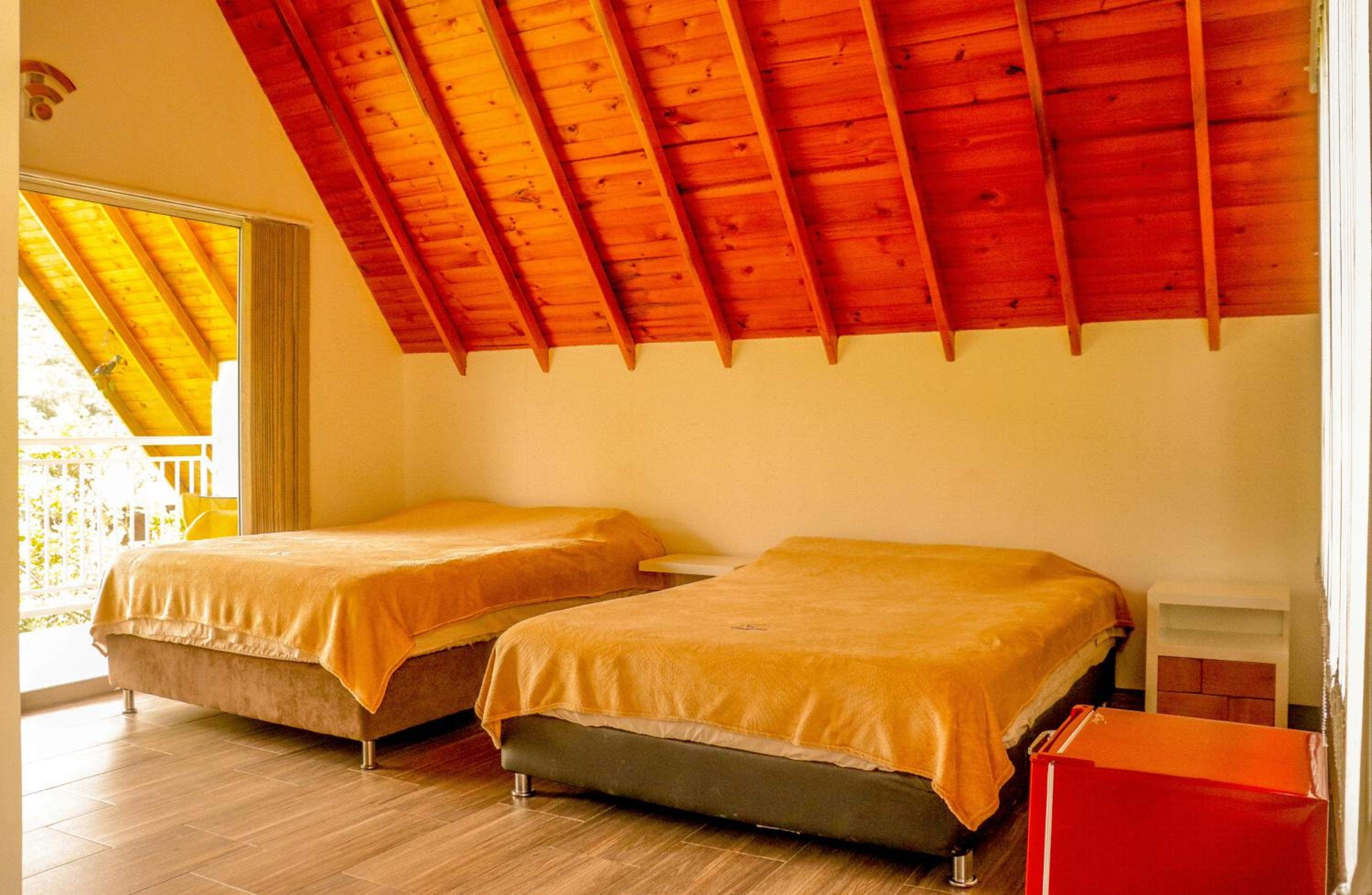 Twin Room photo 2