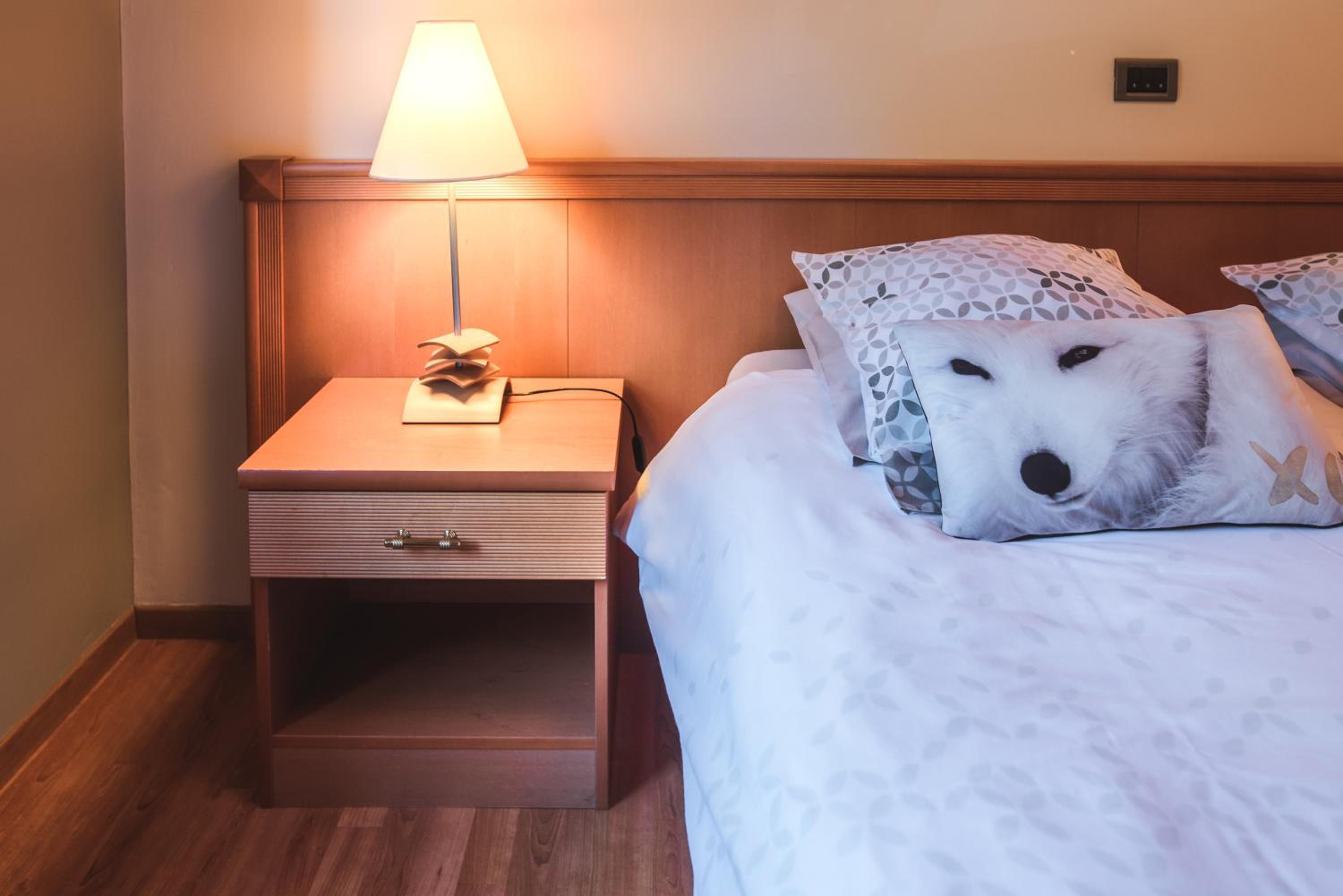 Large Double Room photo 1