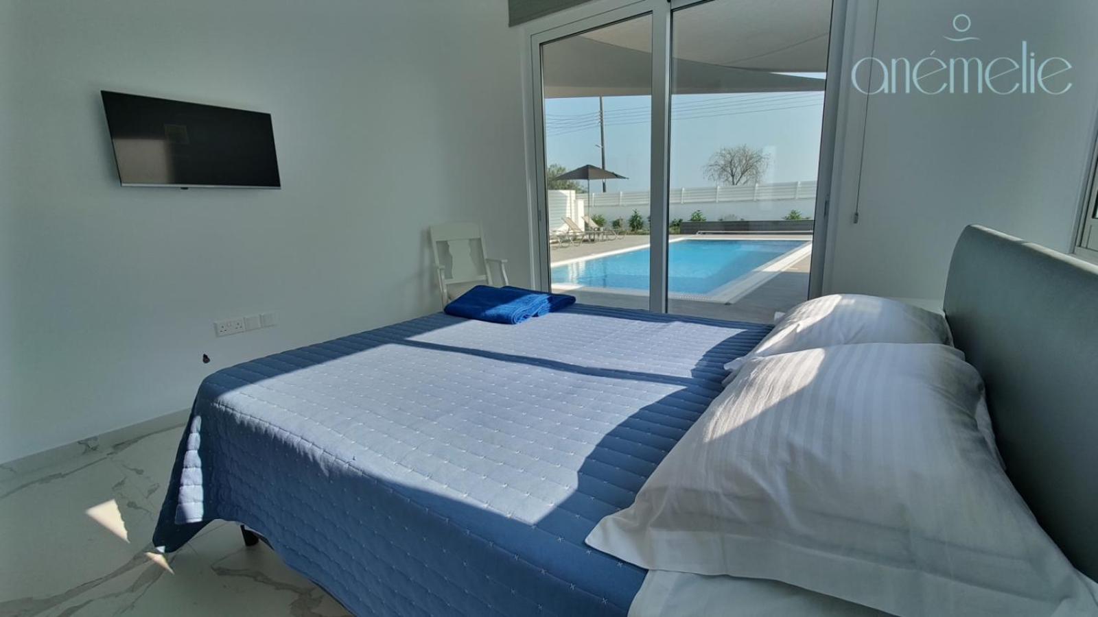Deluxe Villa photo 1