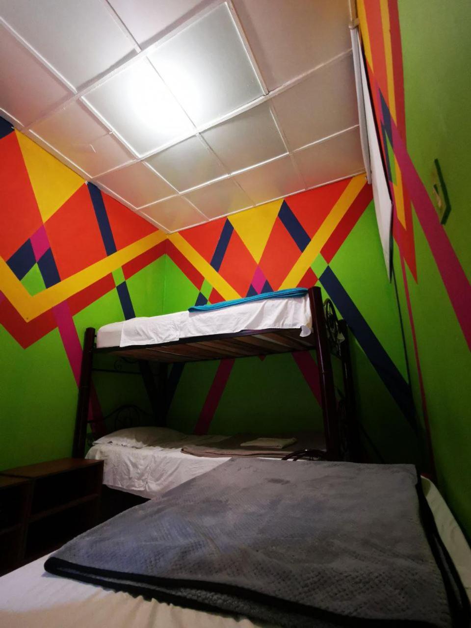 Bunk Bed in Mixed Dormitory Room photo 3