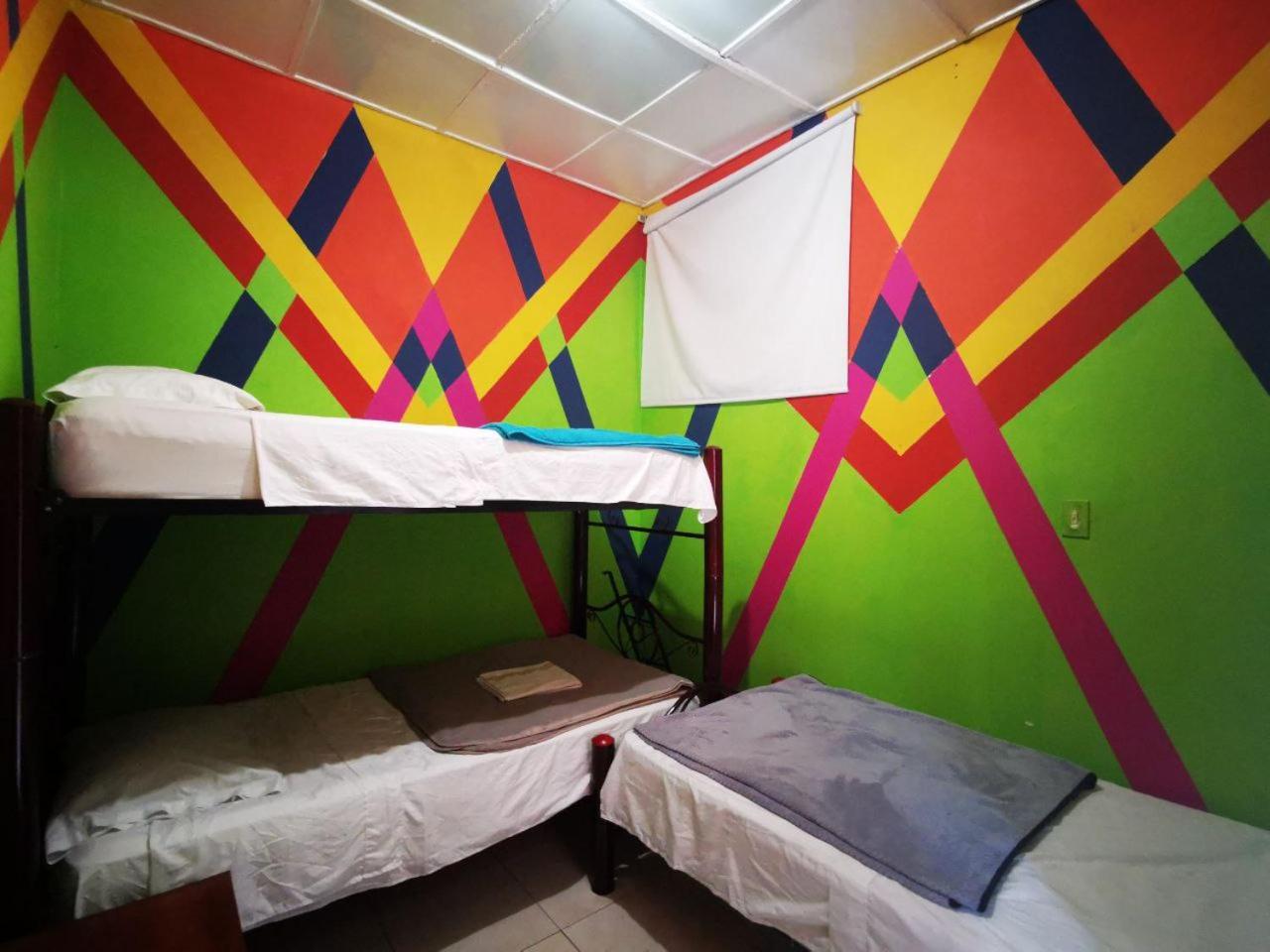 Bunk Bed in Mixed Dormitory Room photo 1