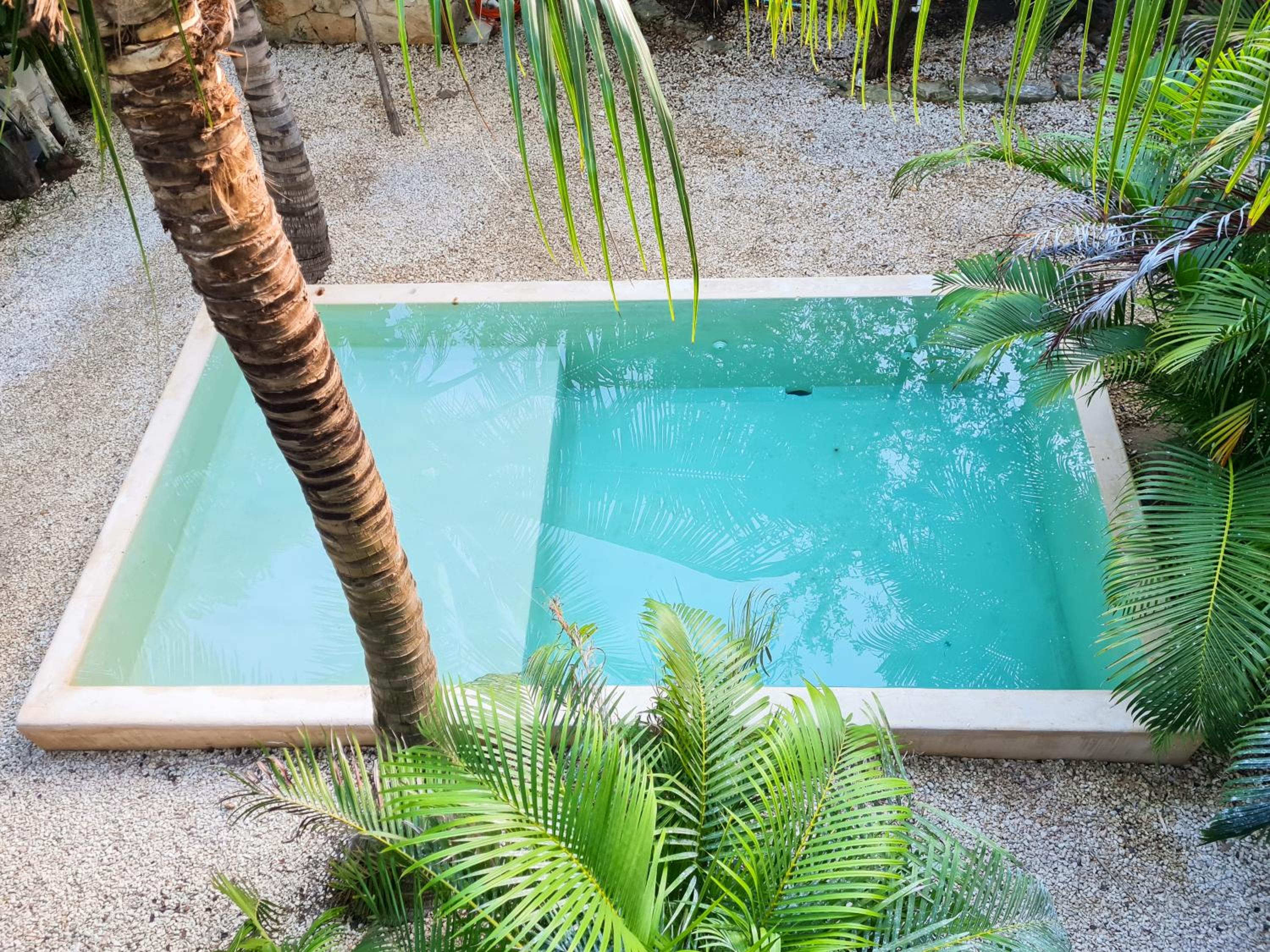 Superior Double or Twin Room with Jungle View - Photo 60