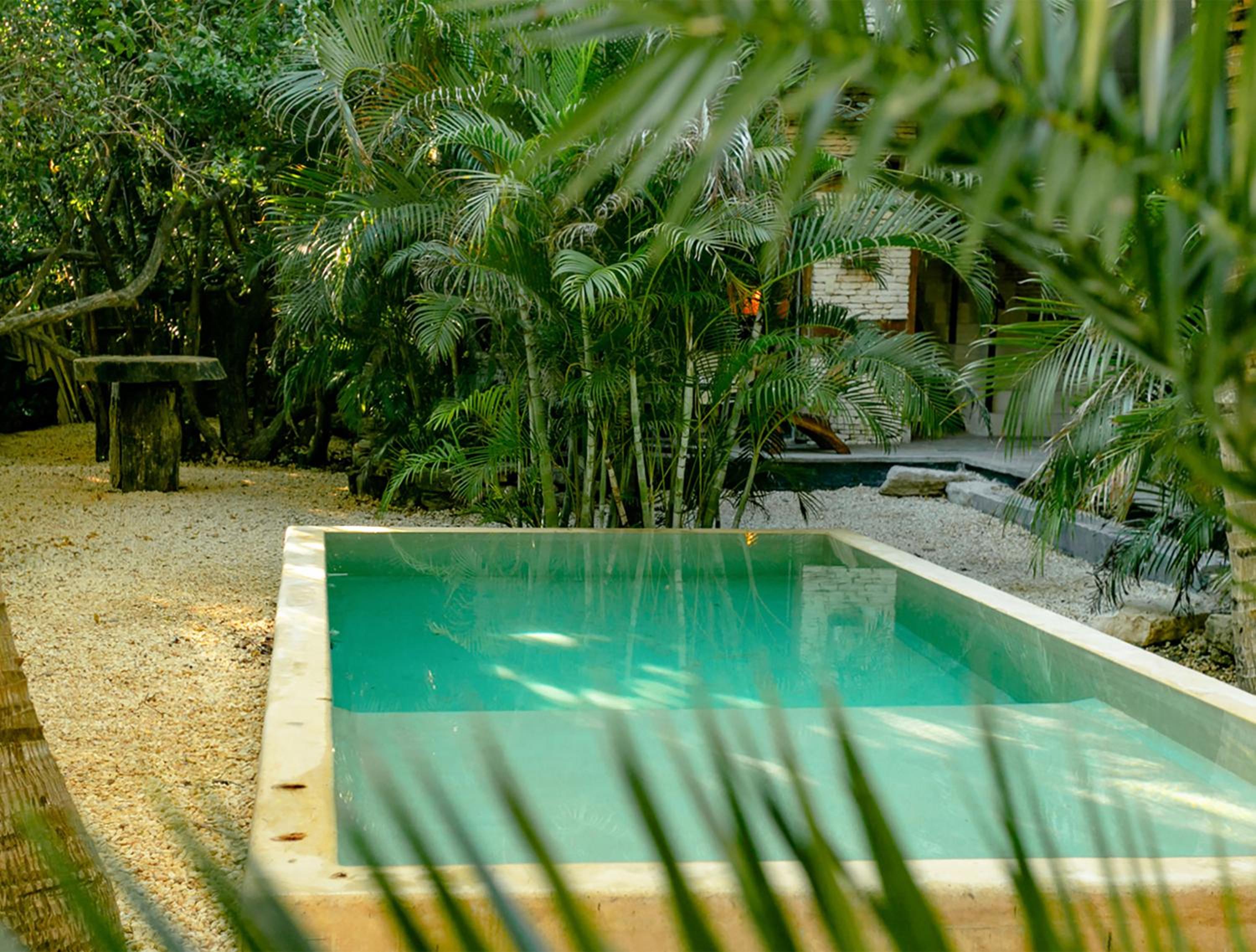 Superior Double or Twin Room with Jungle View - Photo 65
