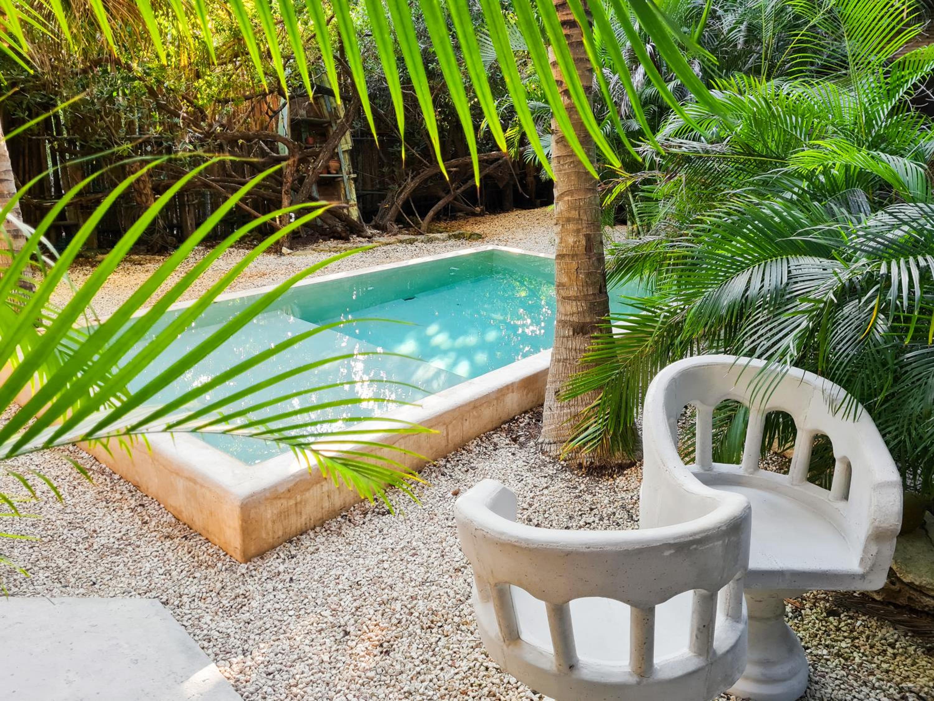 Superior Double or Twin Room with Jungle View - Photo 61