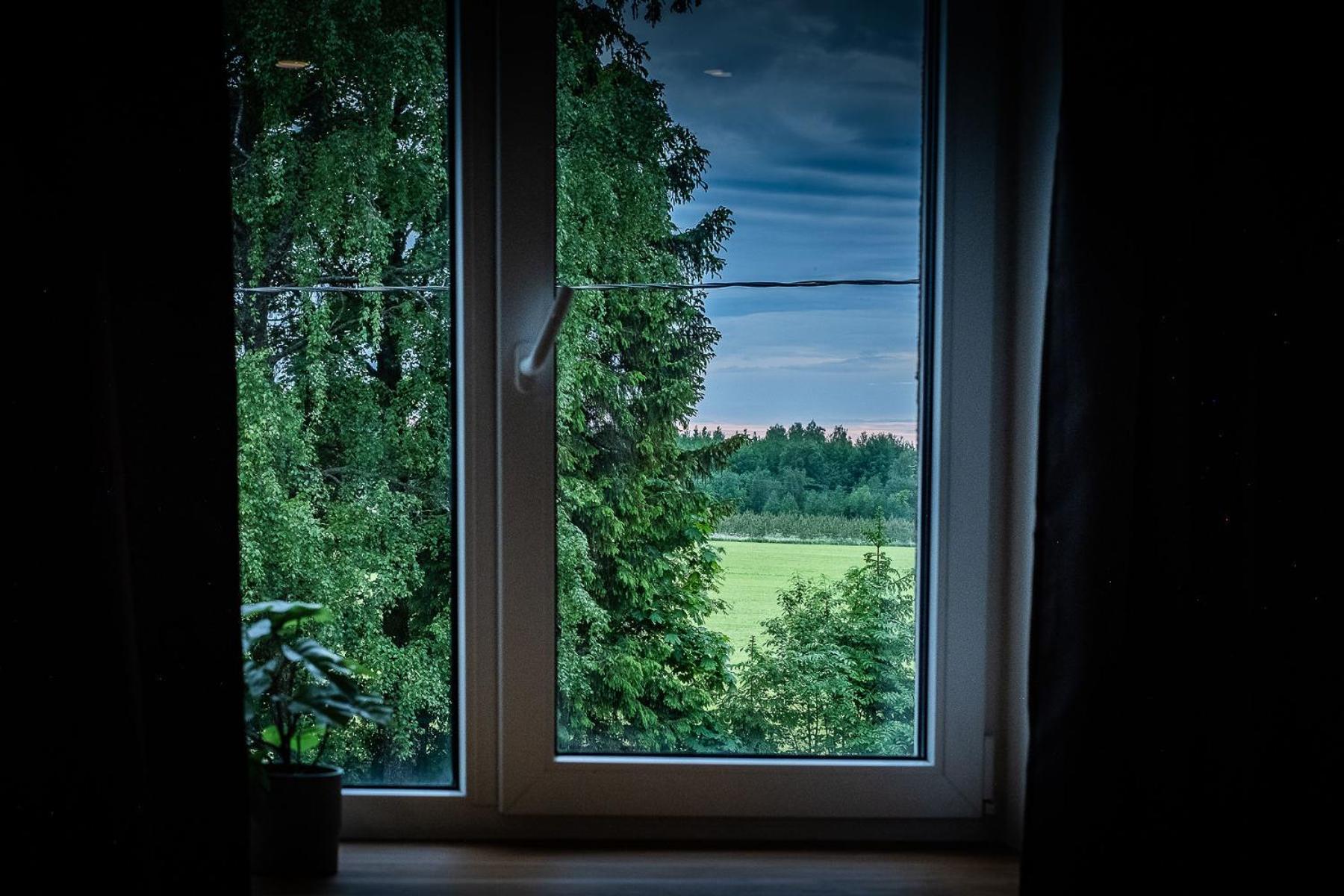 Studio with Garden View - Photo 2