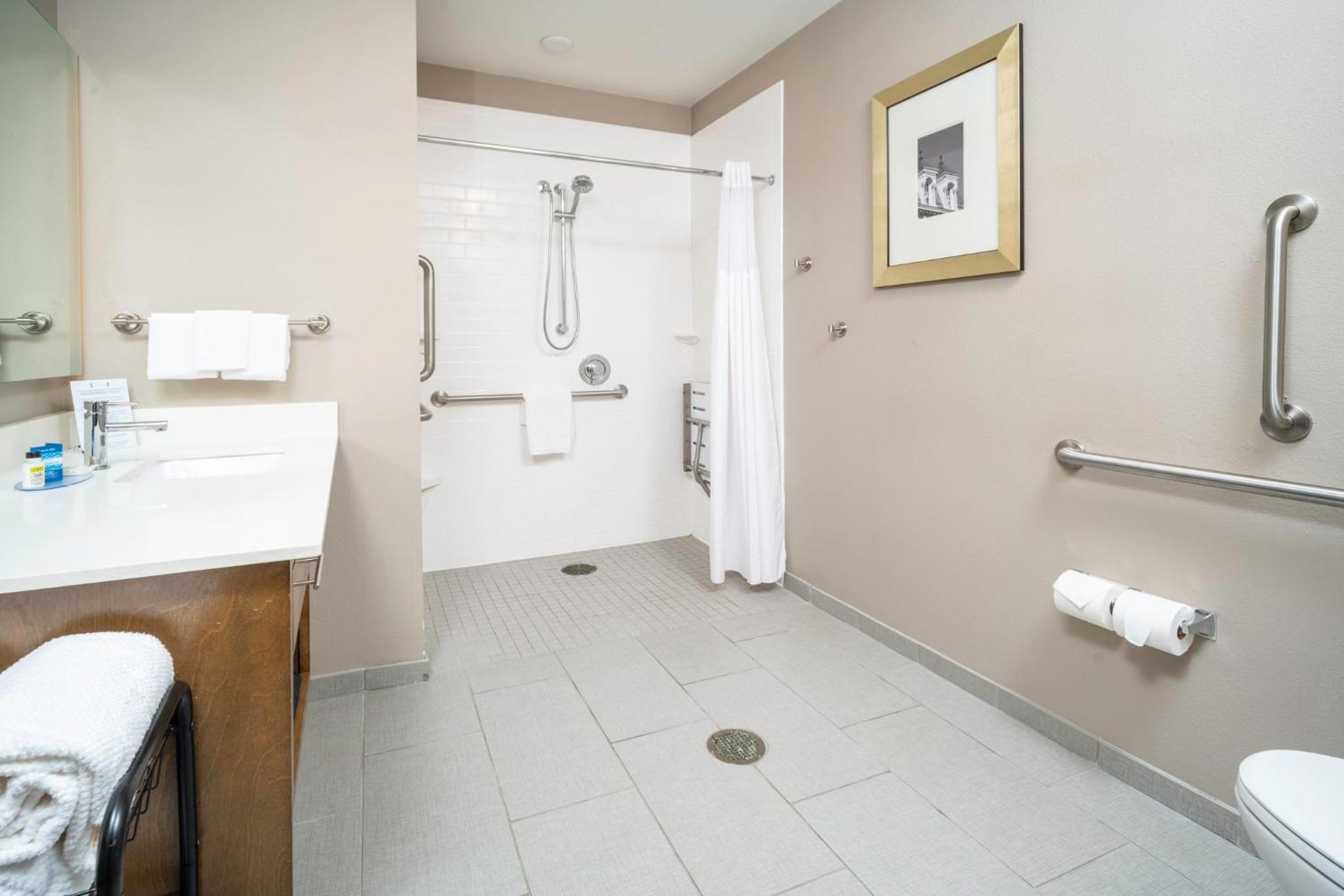 Two-Bedroom Suite - Mobility Accessible Roll In Shower - Photo 14