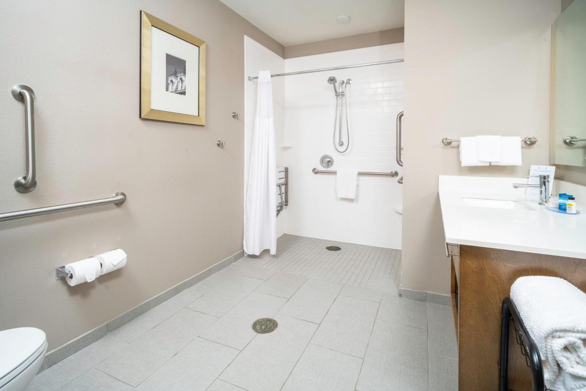 Two-Bedroom Suite - Mobility Accessible Roll In Shower - Photo 13