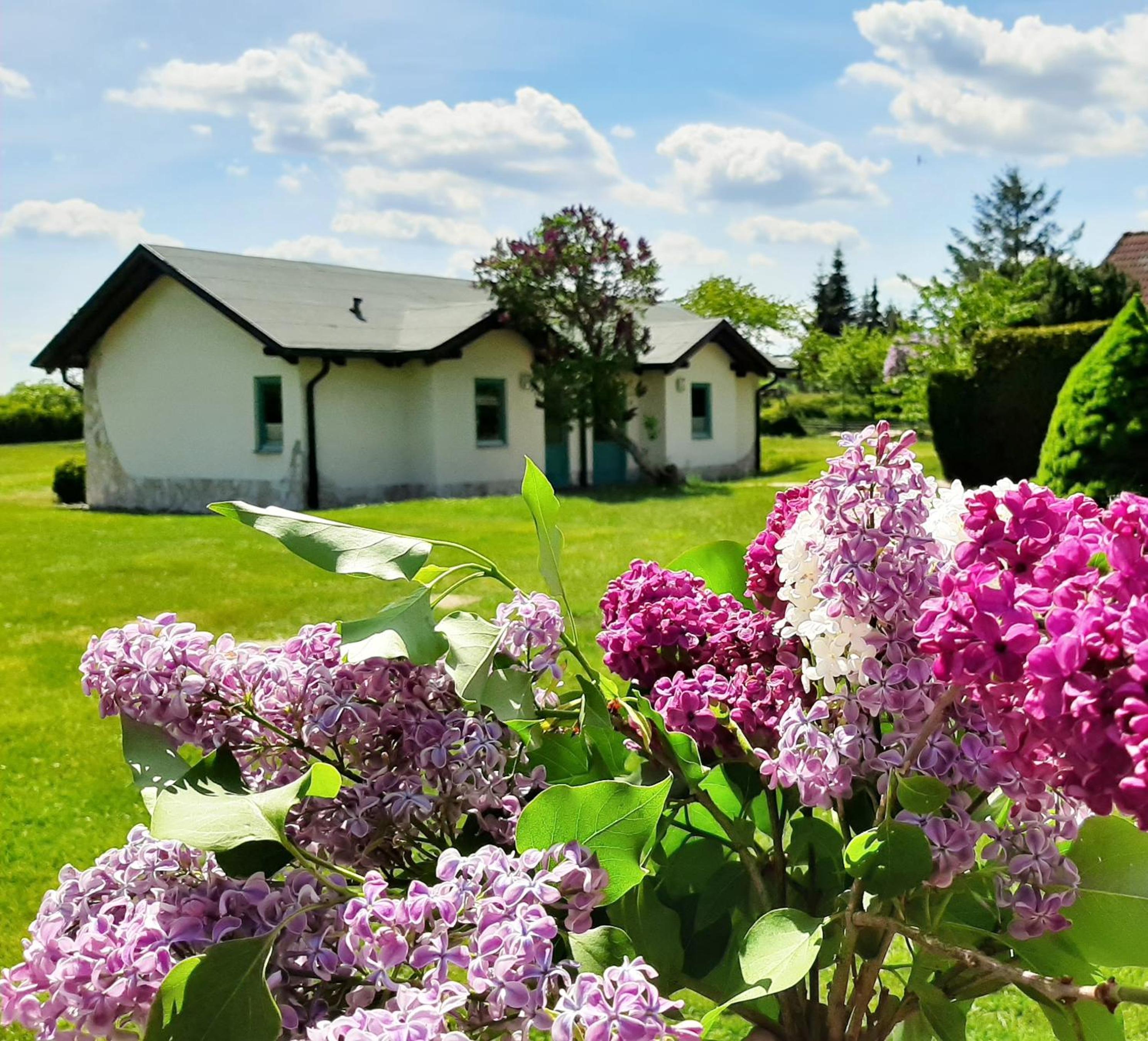 Bungalow with Garden View - Photo 3