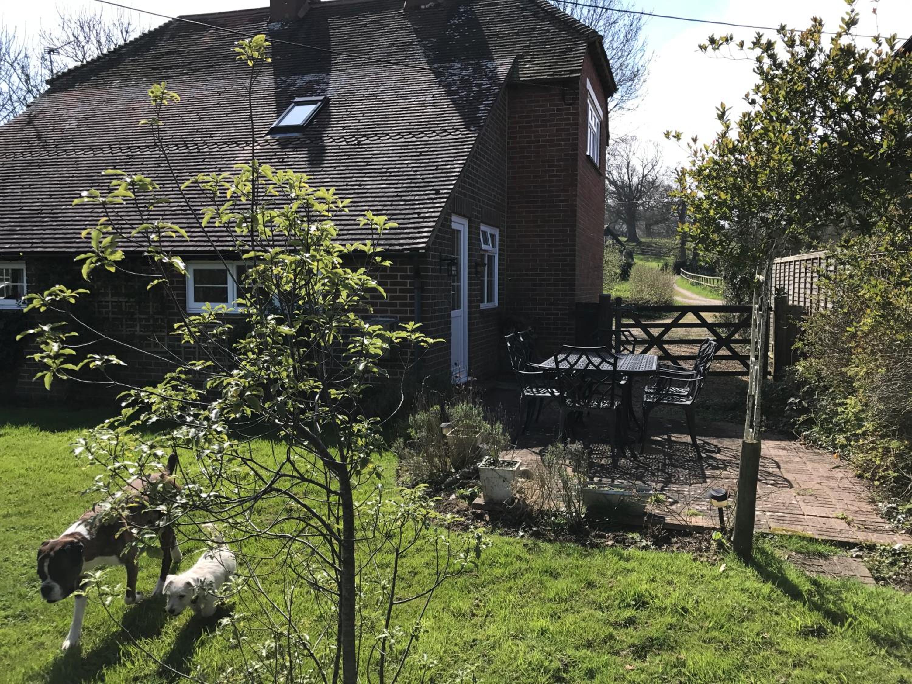 Three-Bedroom House photo 1