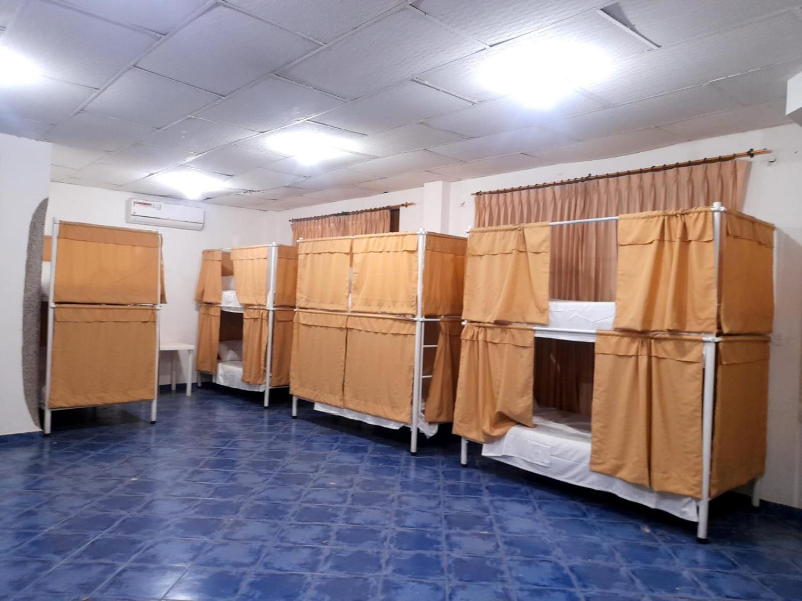 Bunk Bed in Mixed Dormitory Room photo 2