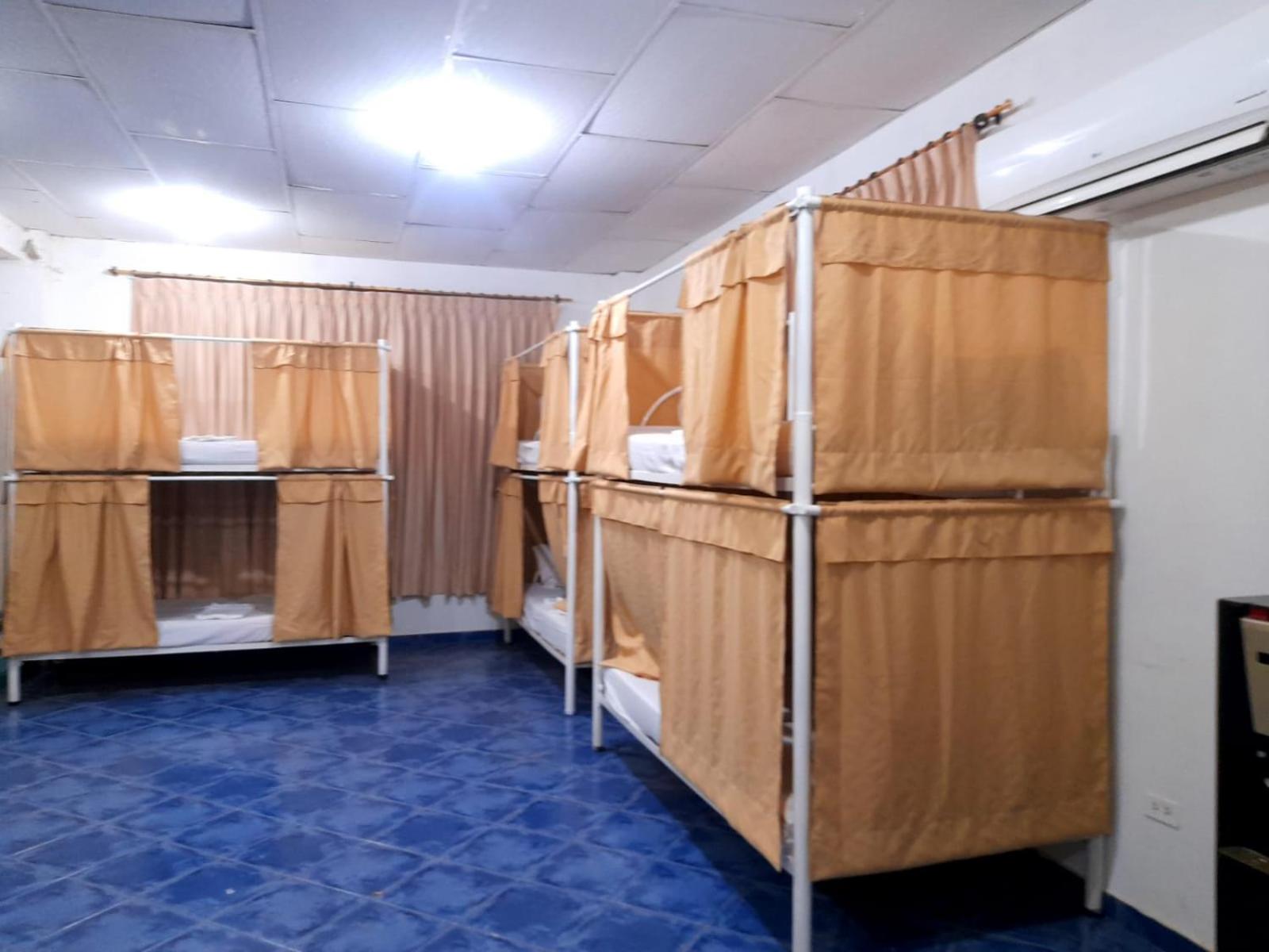 Bunk Bed in Mixed Dormitory Room photo 1