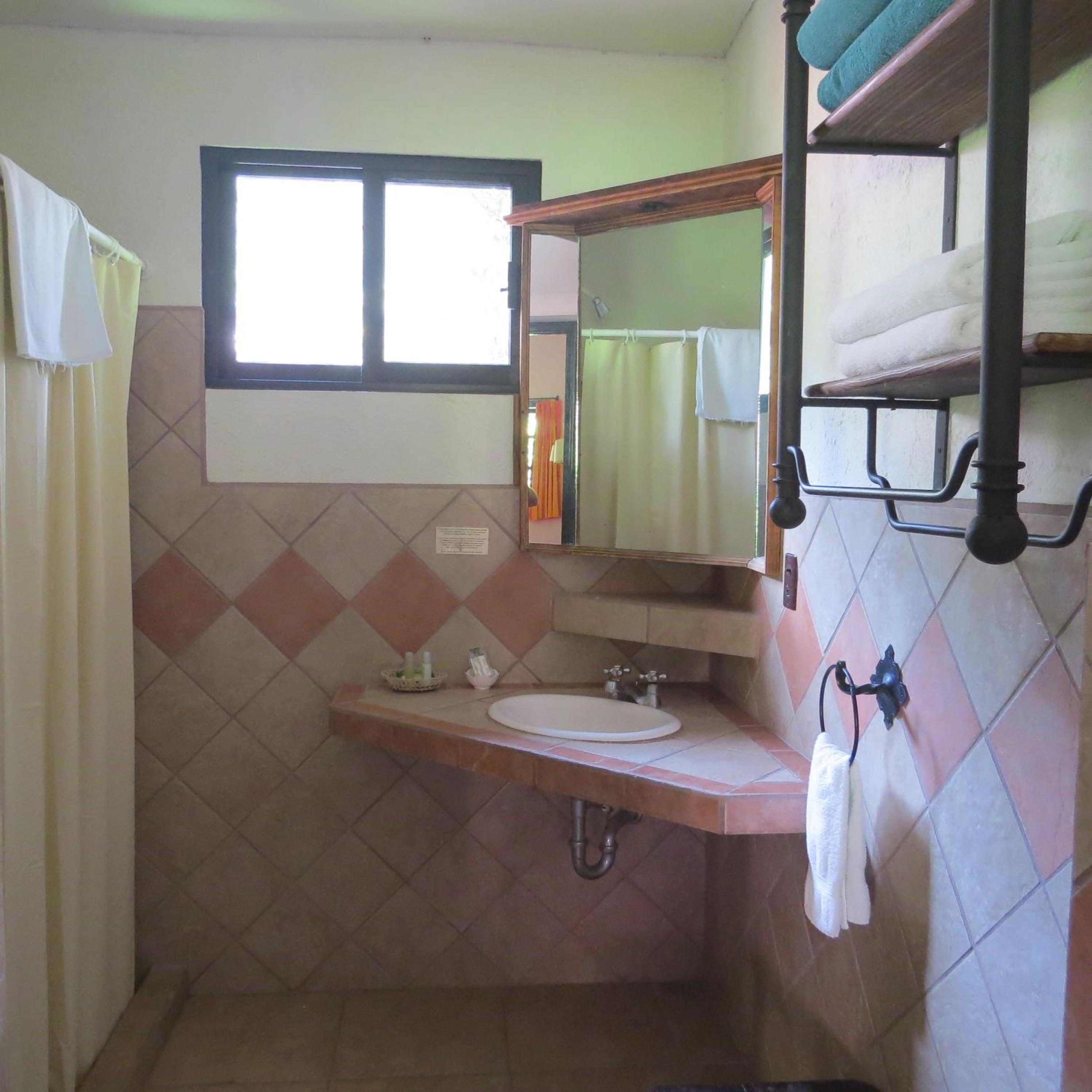Twin Room photo 3