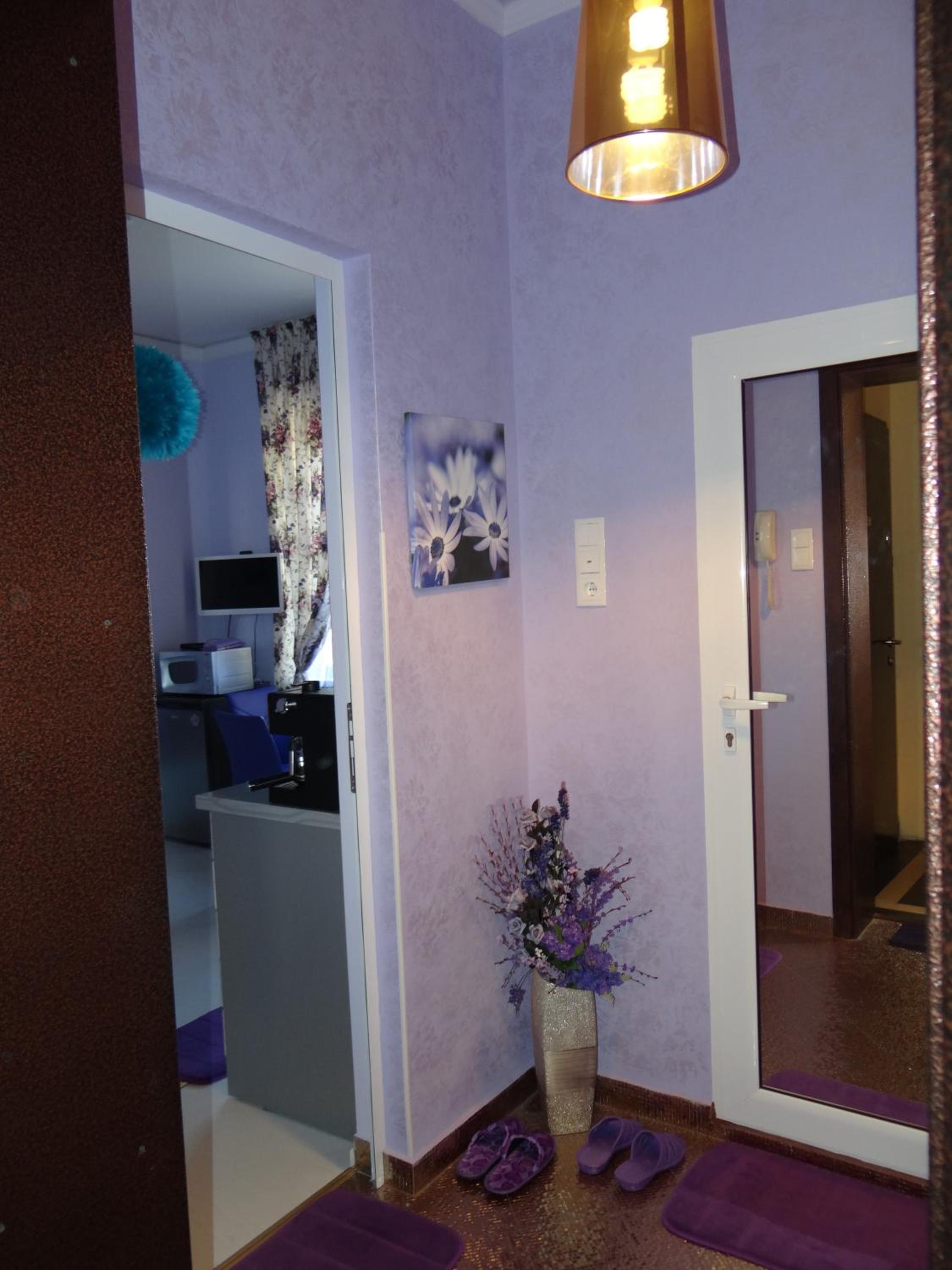 Superior One-Bedroom Apartment - Photo 14
