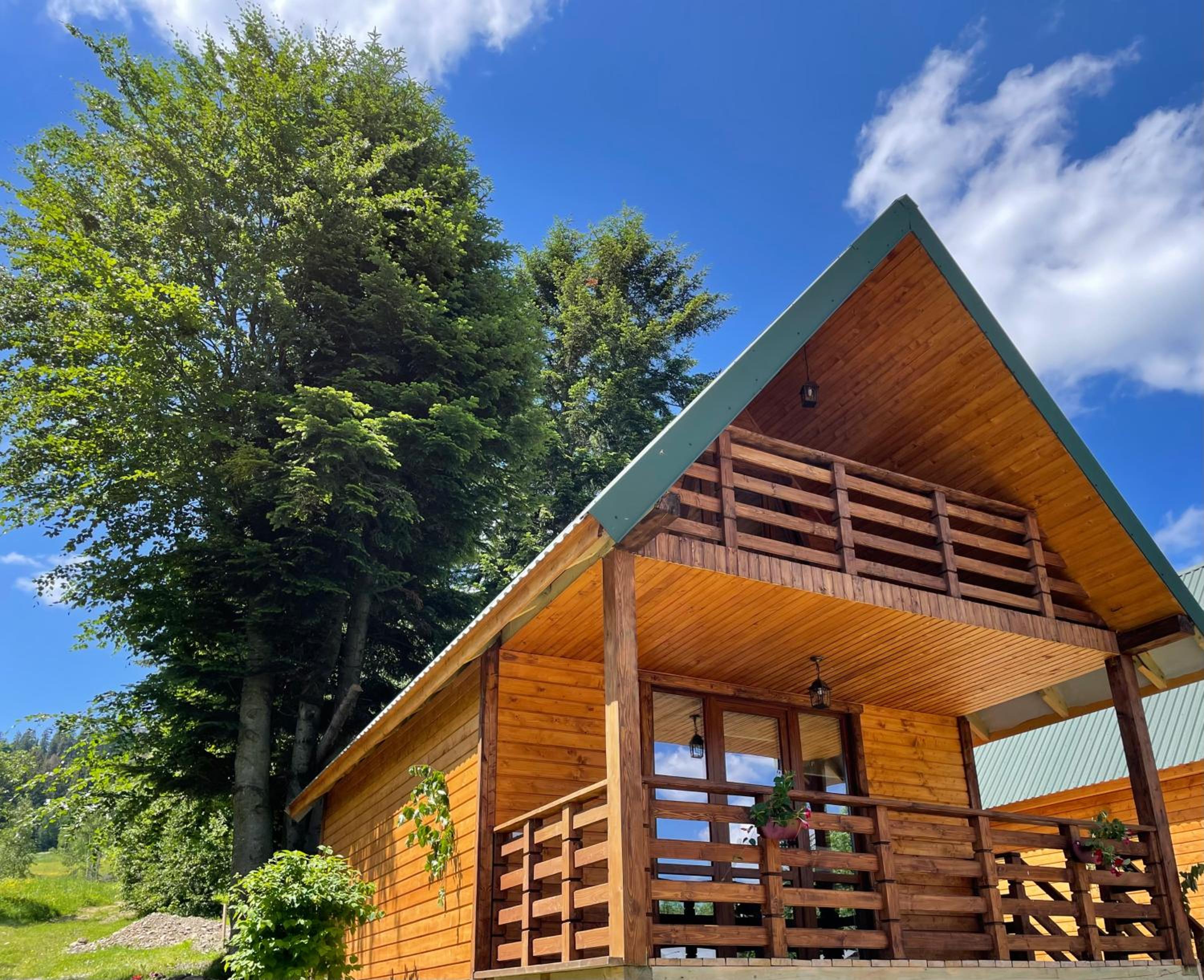 Vacation Home photo 3